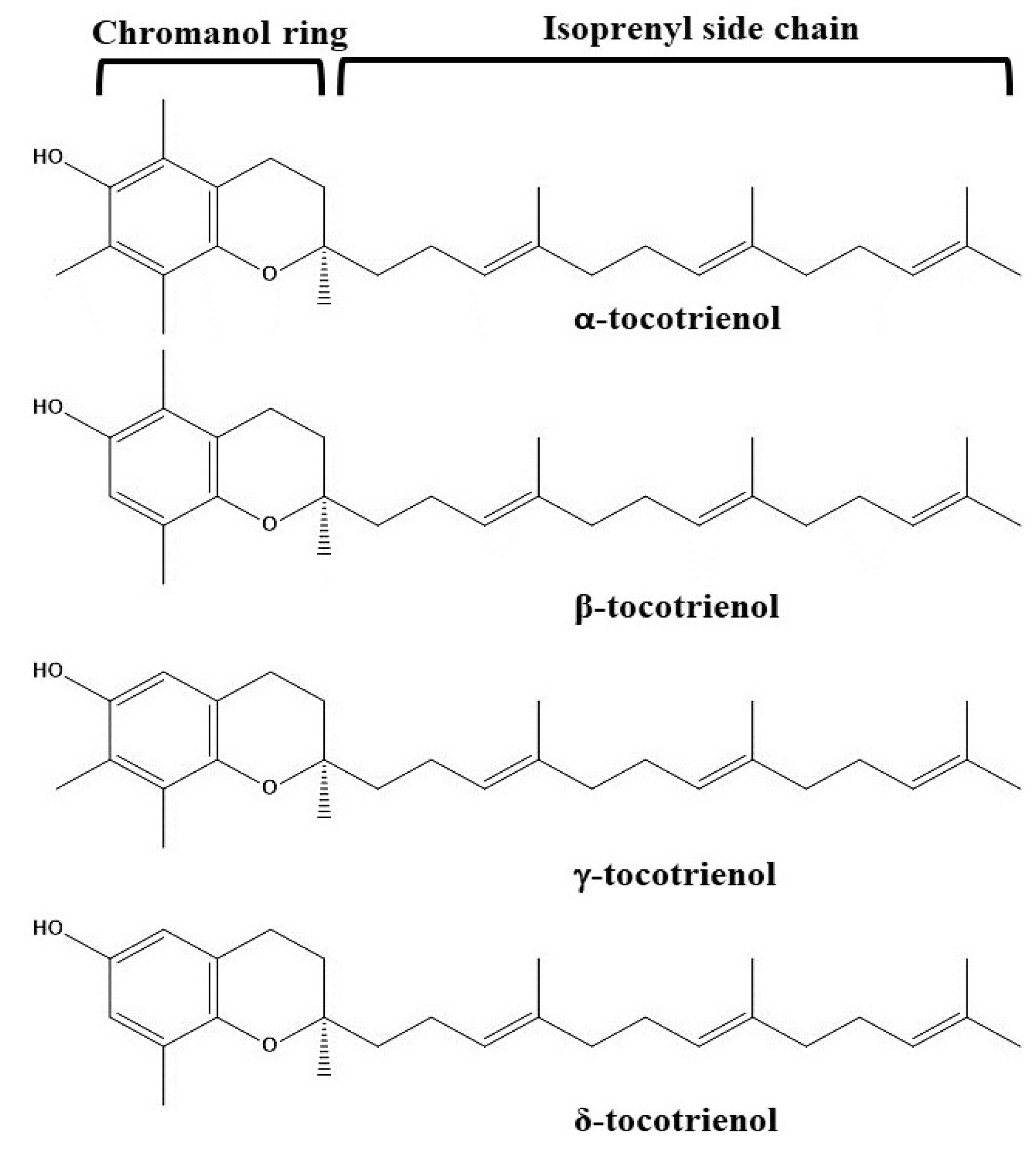Pharmaceutics 14 02479 g002