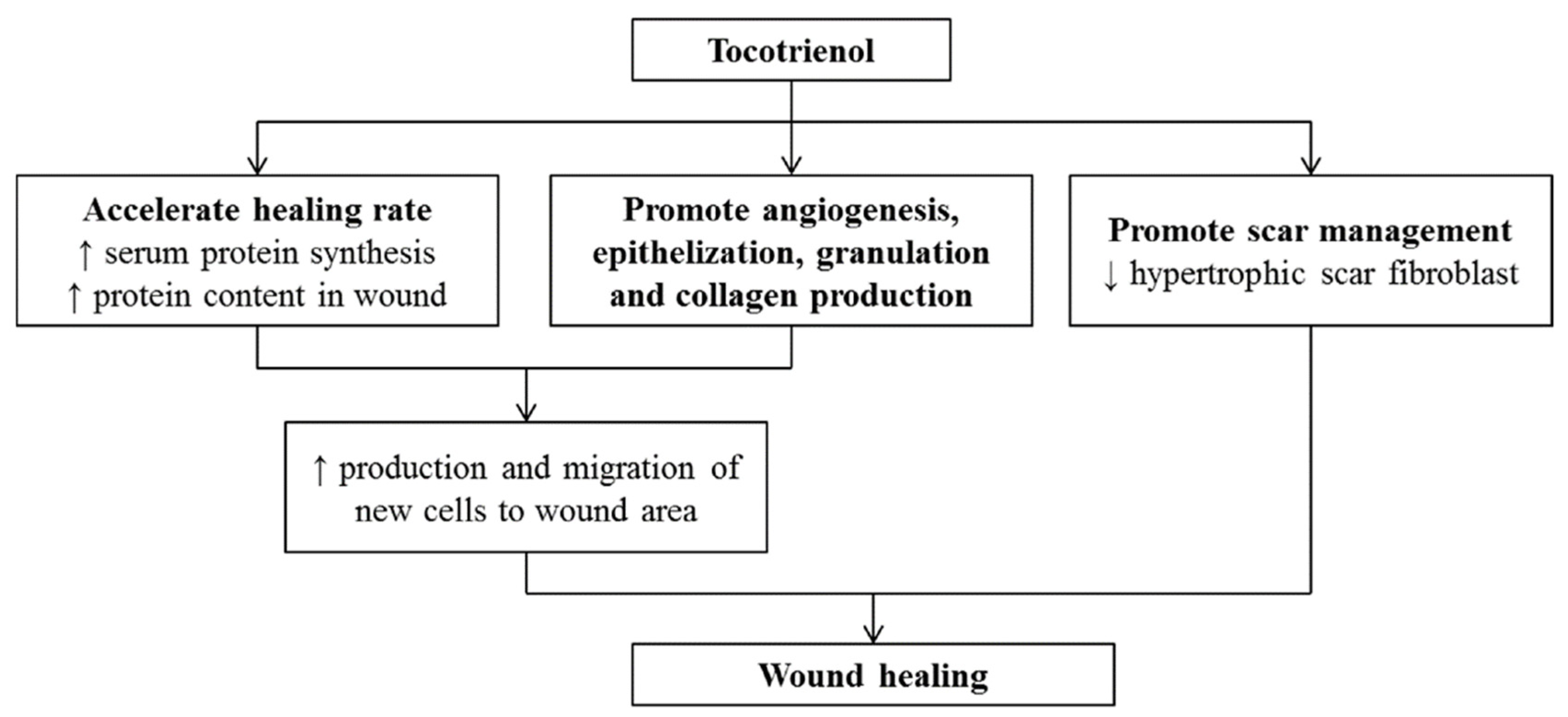 Pharmaceutics 14 02479 g003