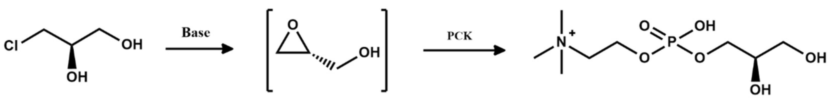 Pharmaceutics 14 02480 sch003