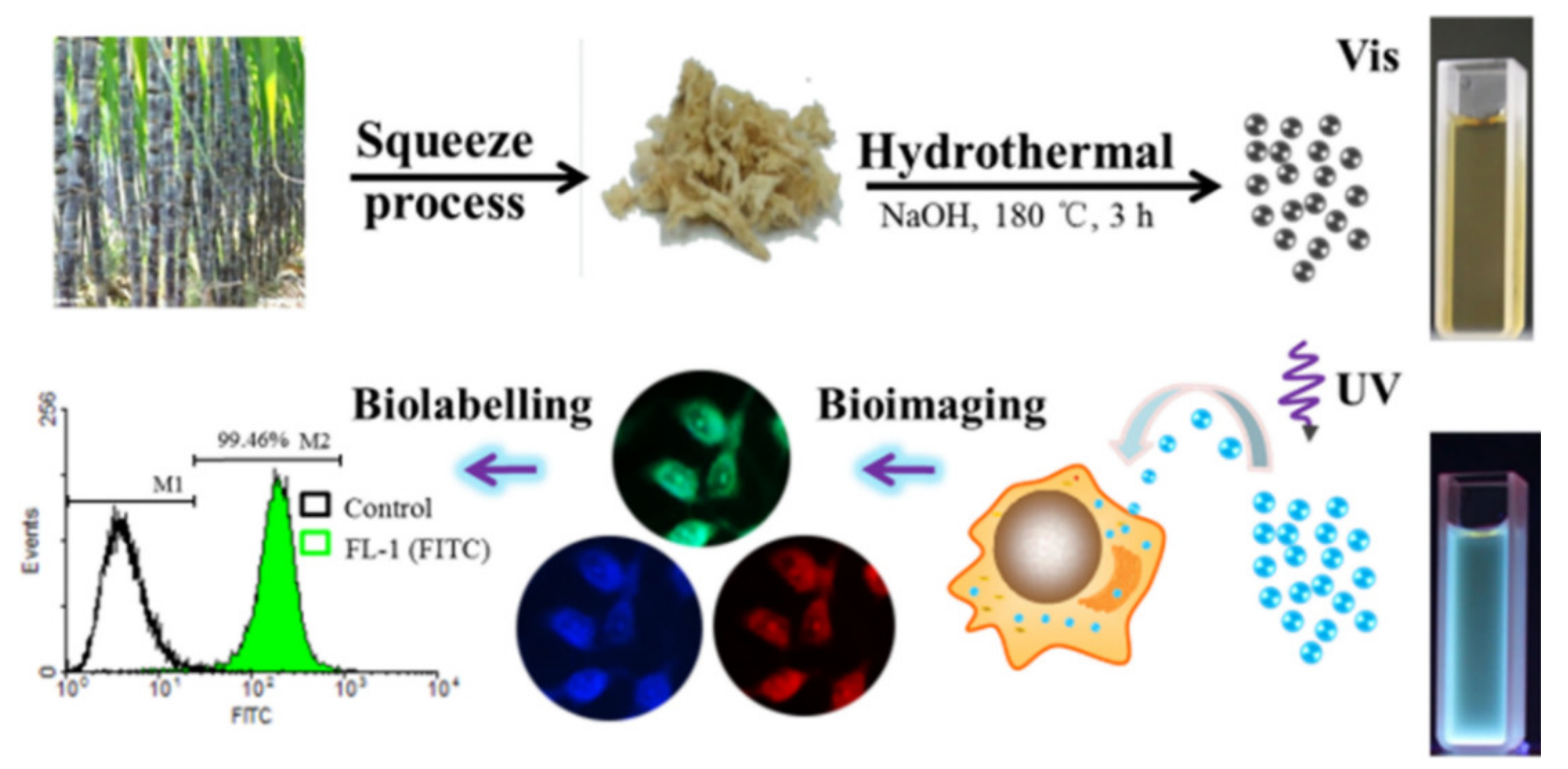 Pharmaceutics 14 02482 g006 Pharmaceutics 14 02482 g006