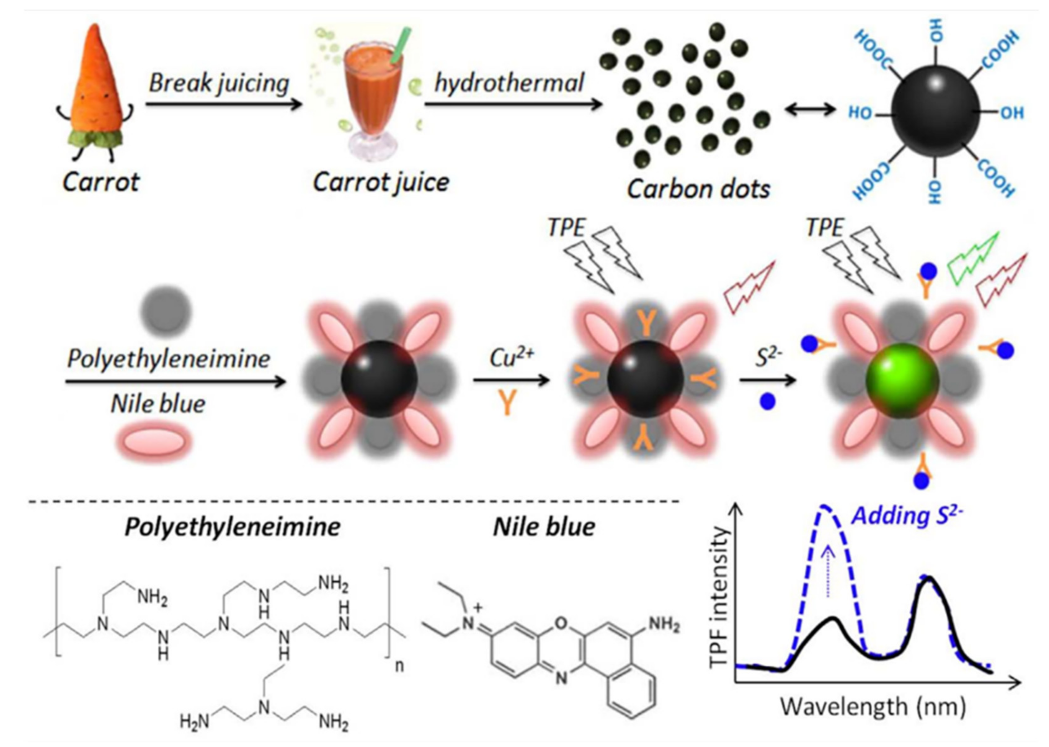 Pharmaceutics 14 02482 g007 Pharmaceutics 14 02482 g007