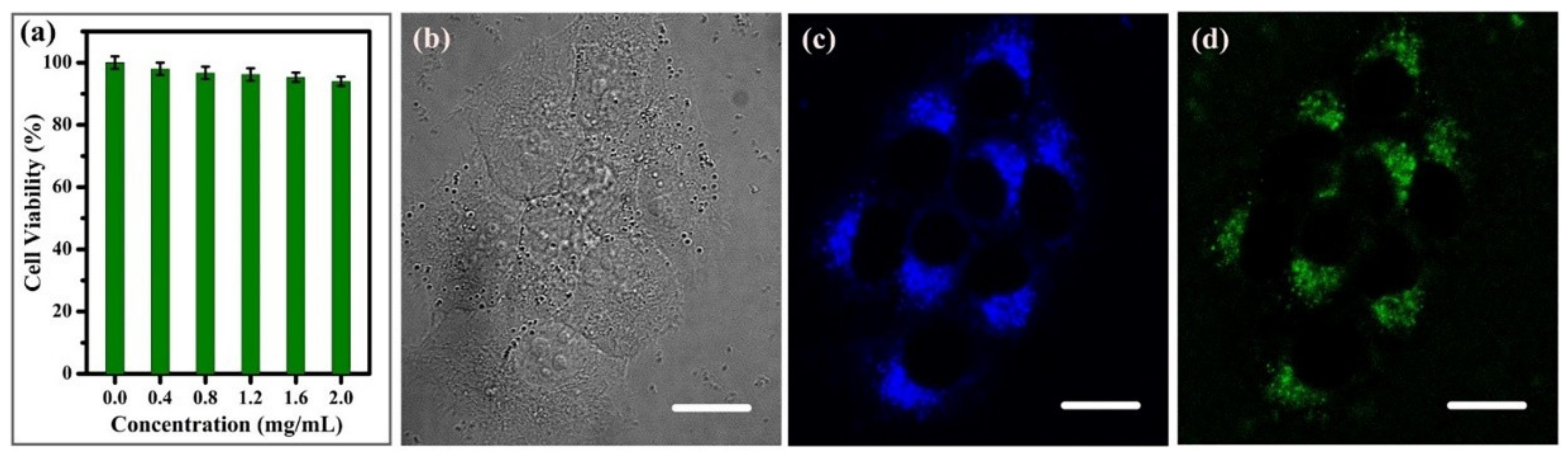 Pharmaceutics 14 02482 g009 Pharmaceutics 14 02482 g009