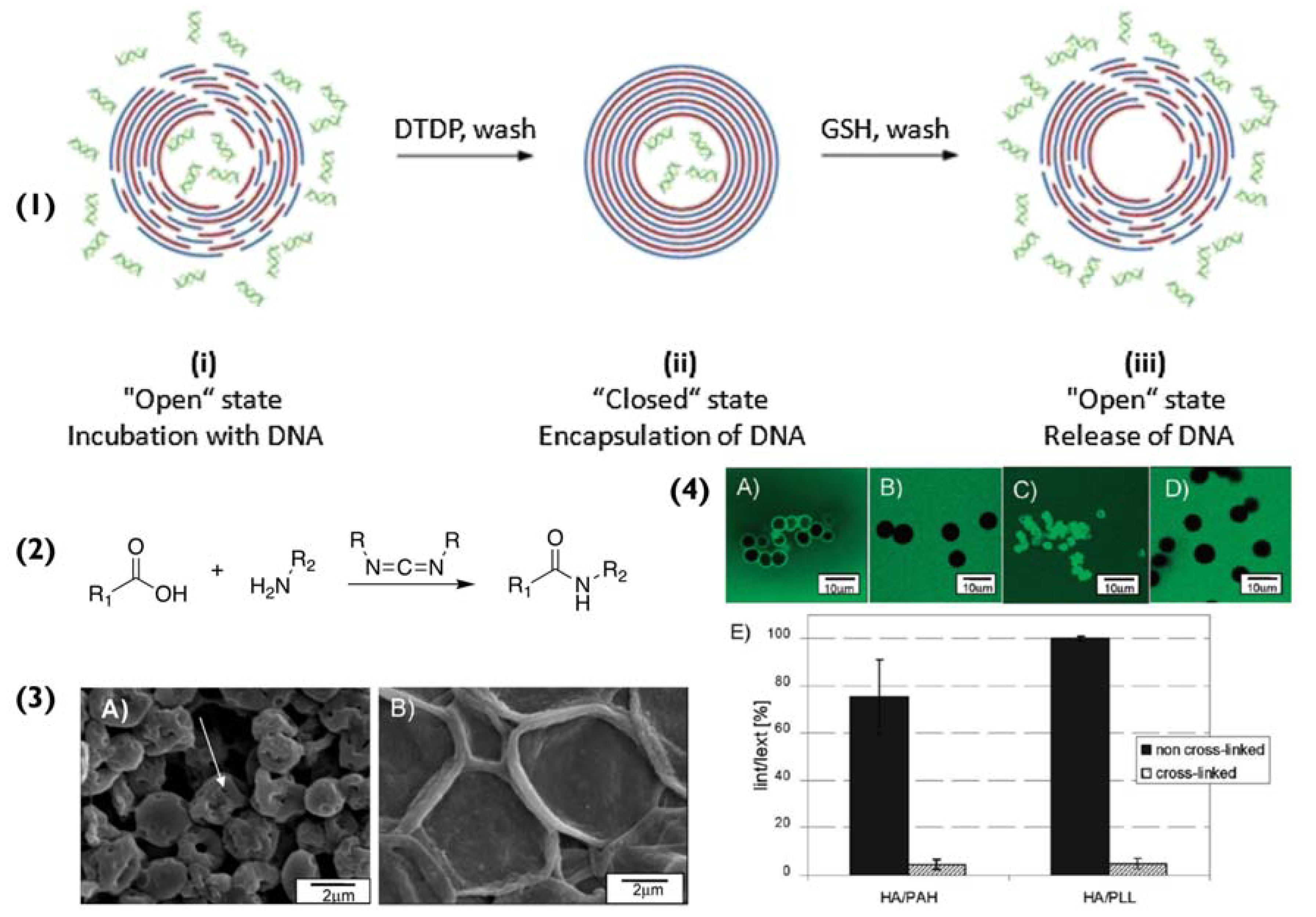 Pharmaceutics 14 02483 g002