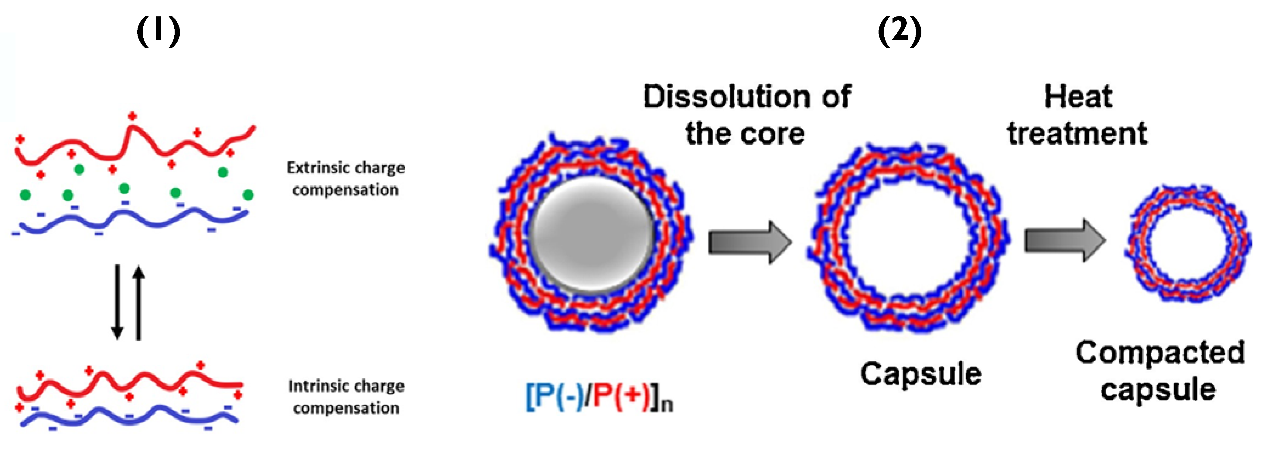 Pharmaceutics 14 02483 g003