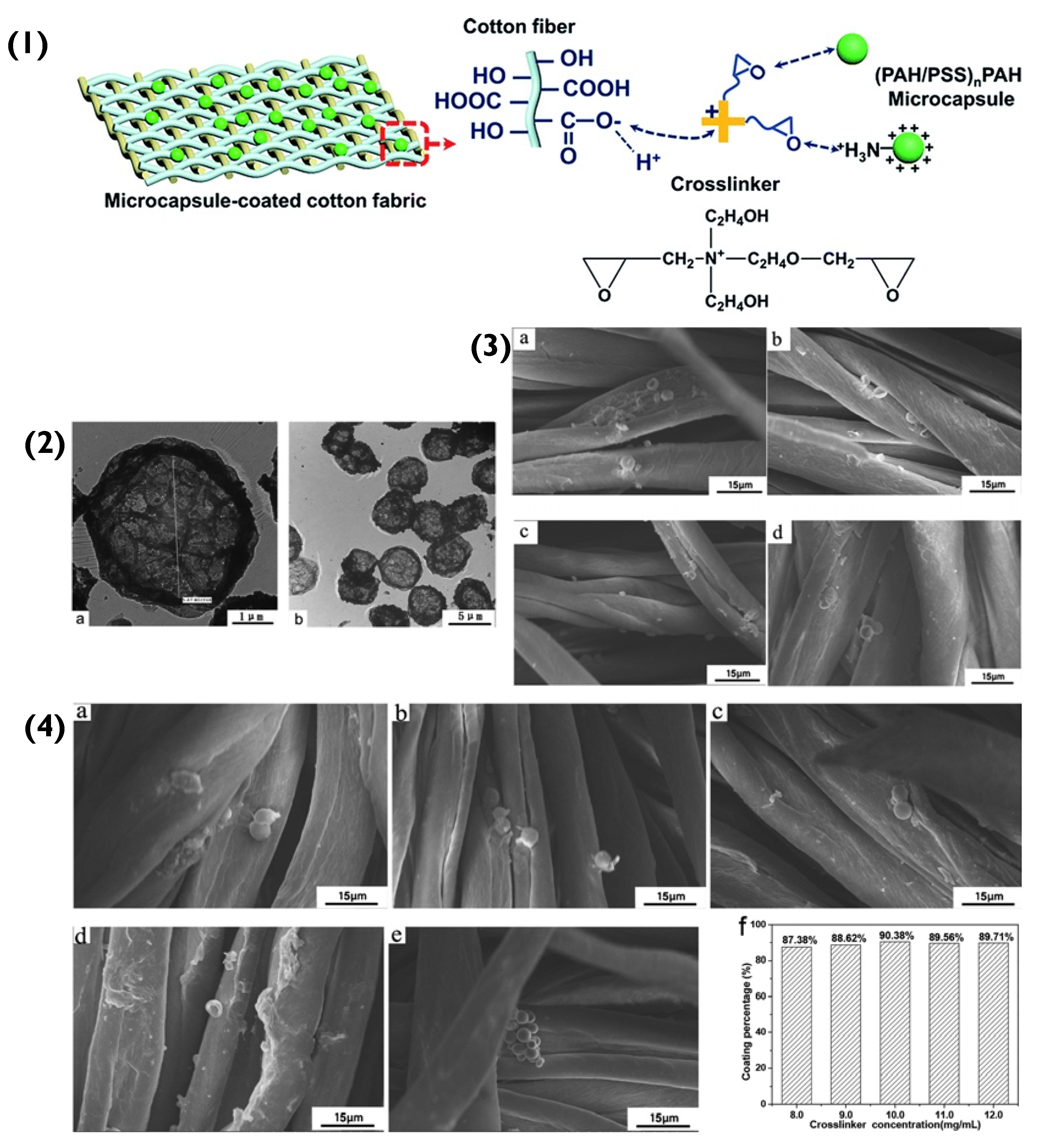 Pharmaceutics 14 02483 g005