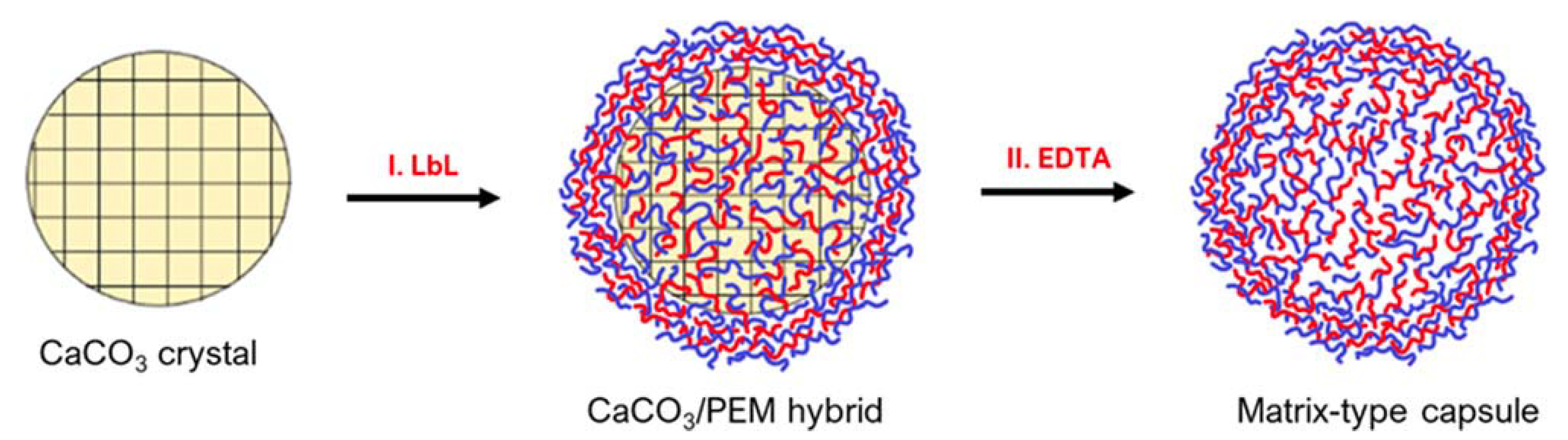 Pharmaceutics 14 02483 g006