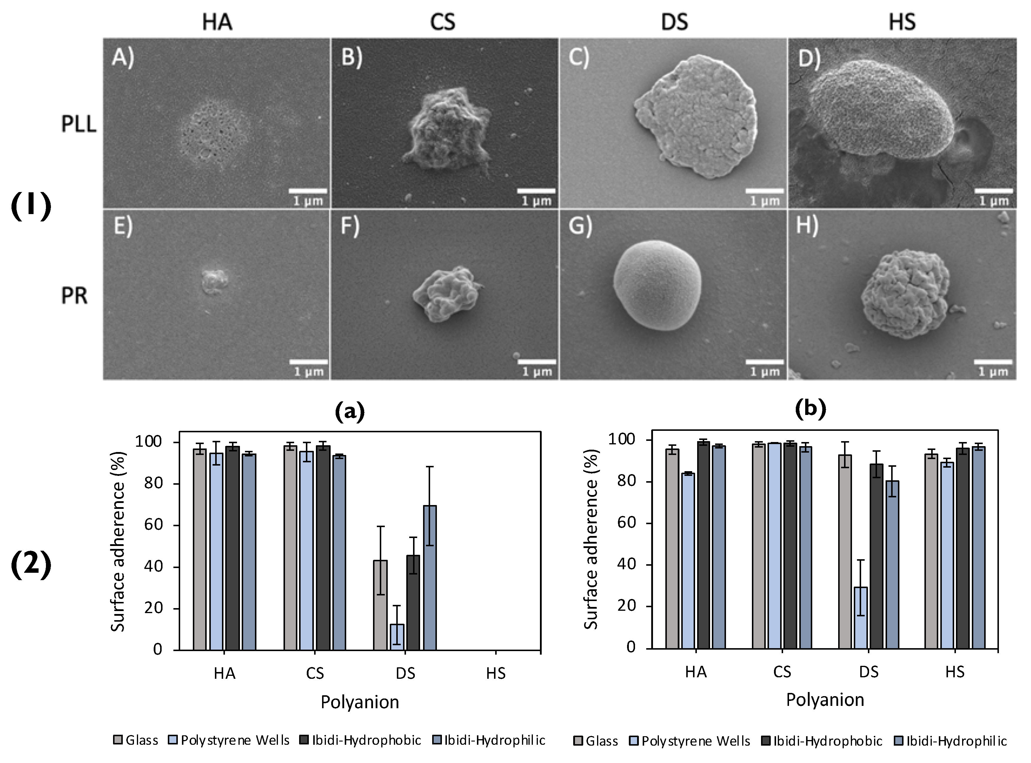 Pharmaceutics 14 02483 g007