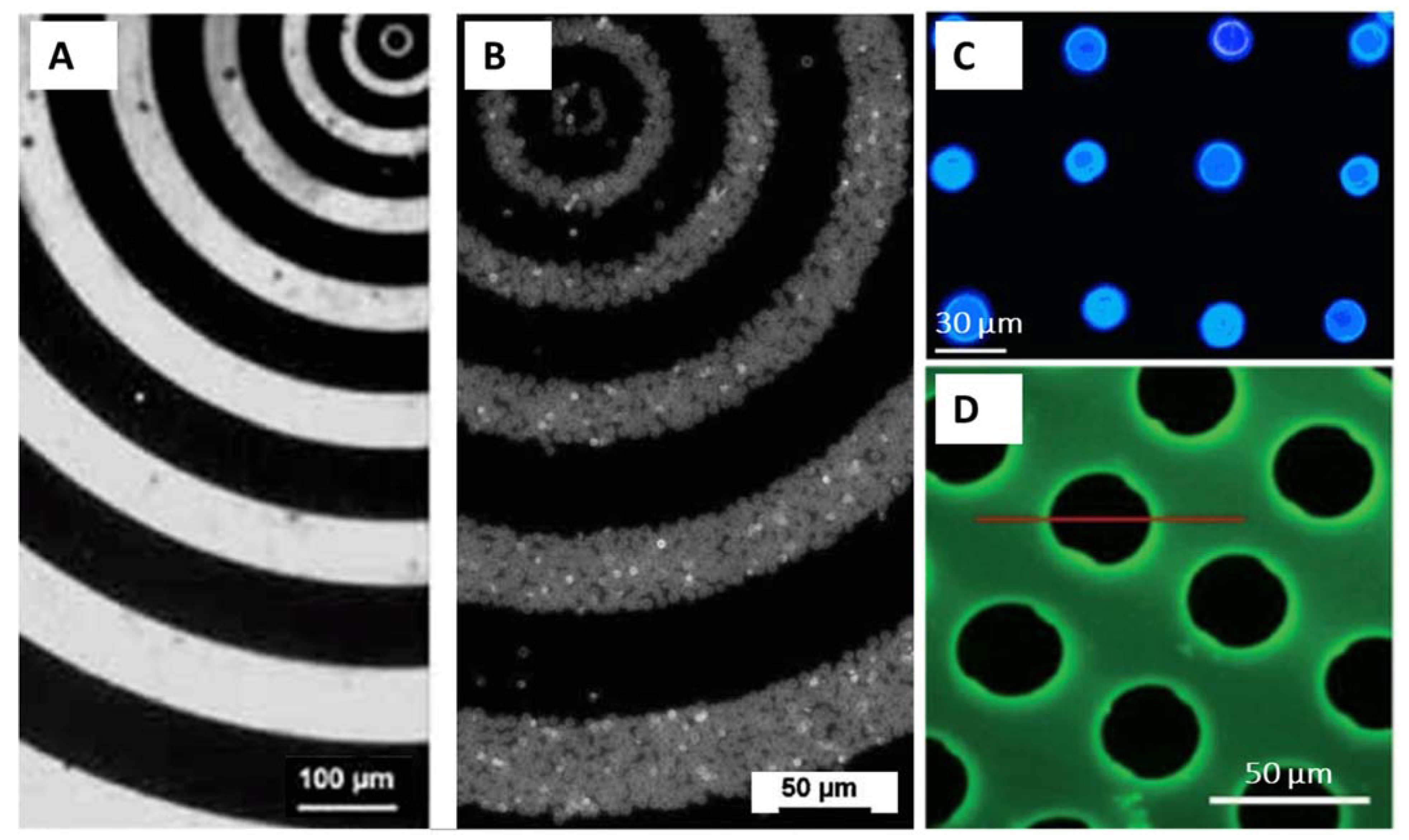 Pharmaceutics 14 02483 g010