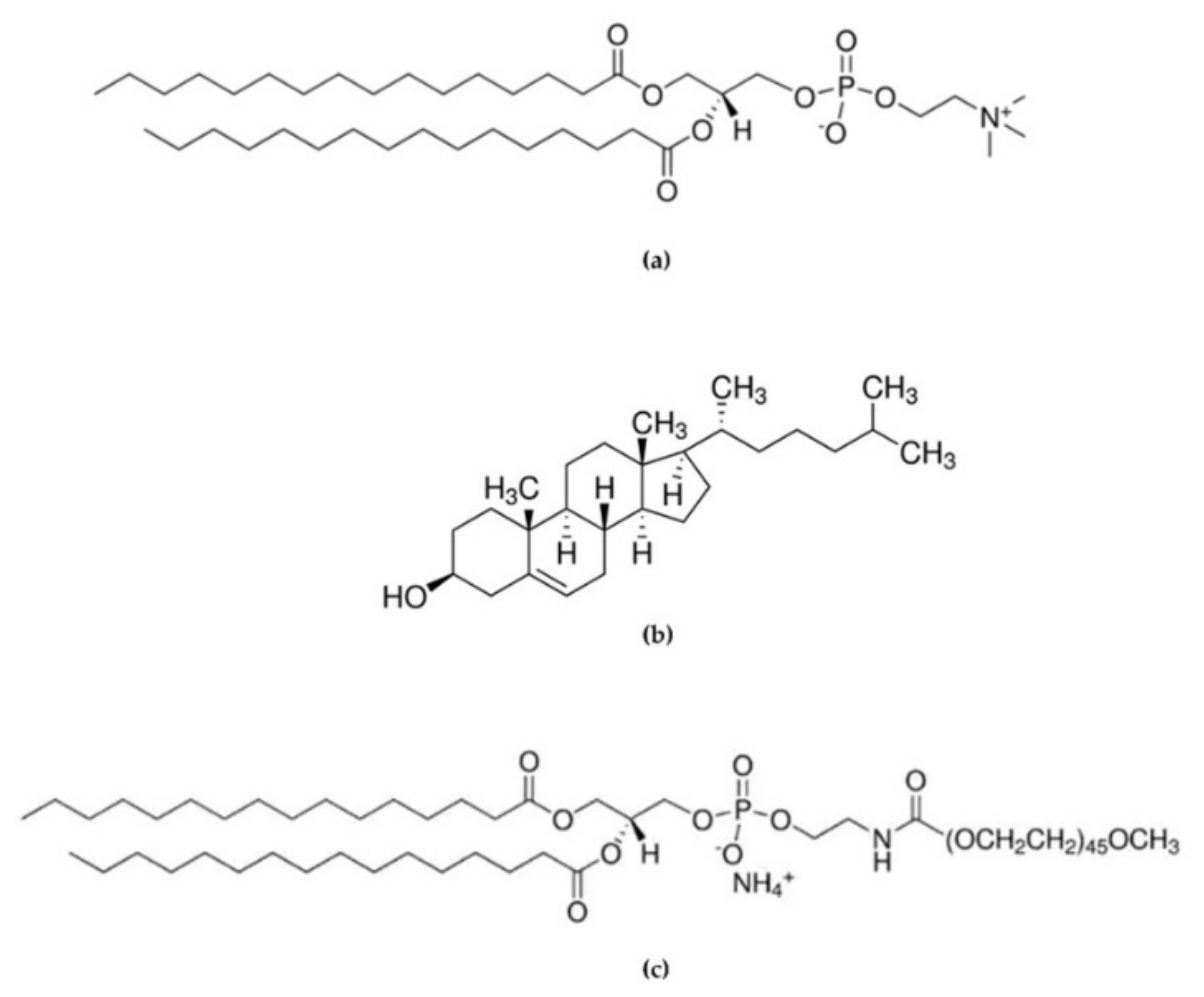 Pharmaceutics 14 02484 g001