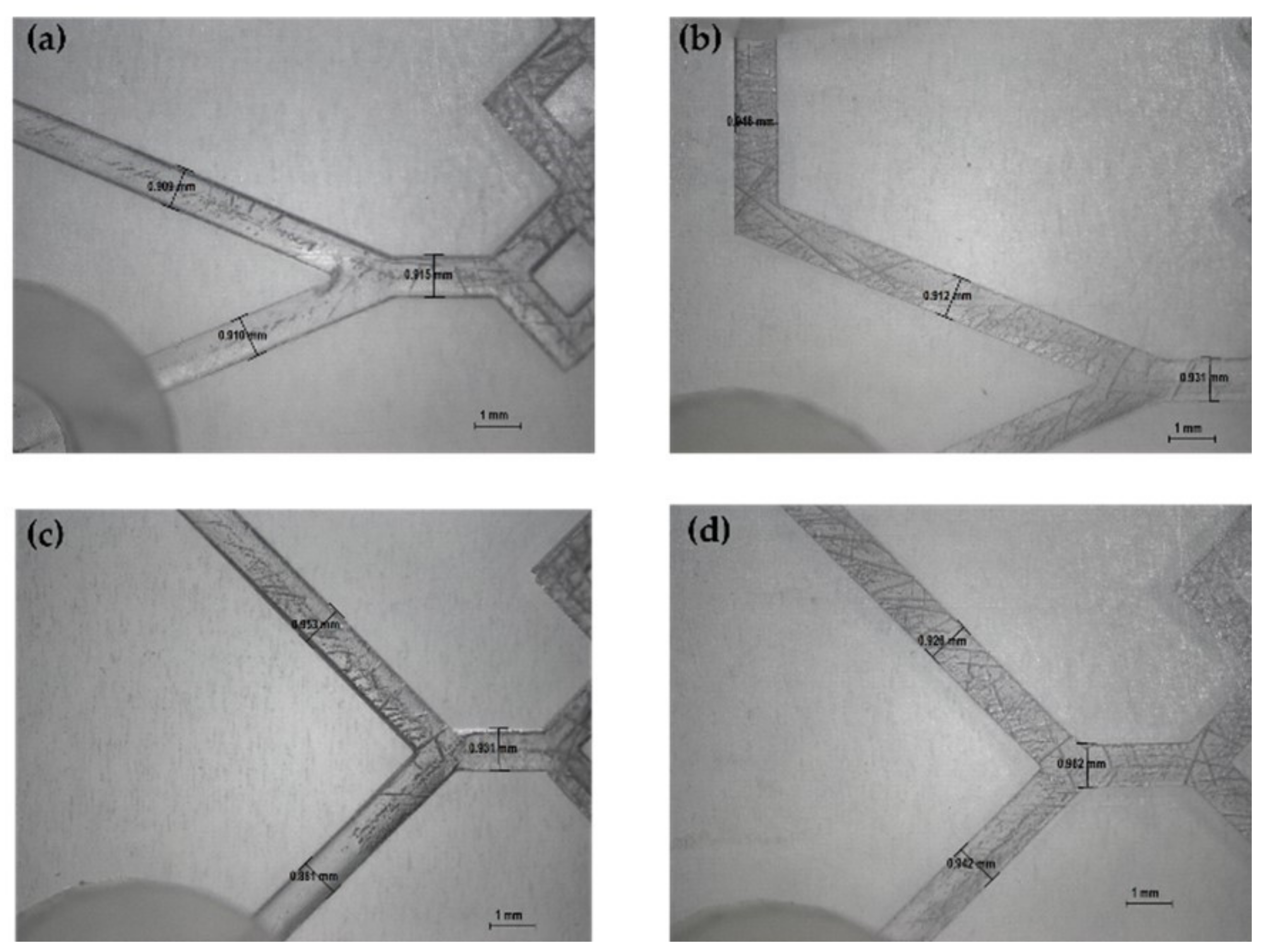 Pharmaceutics 14 02484 g004