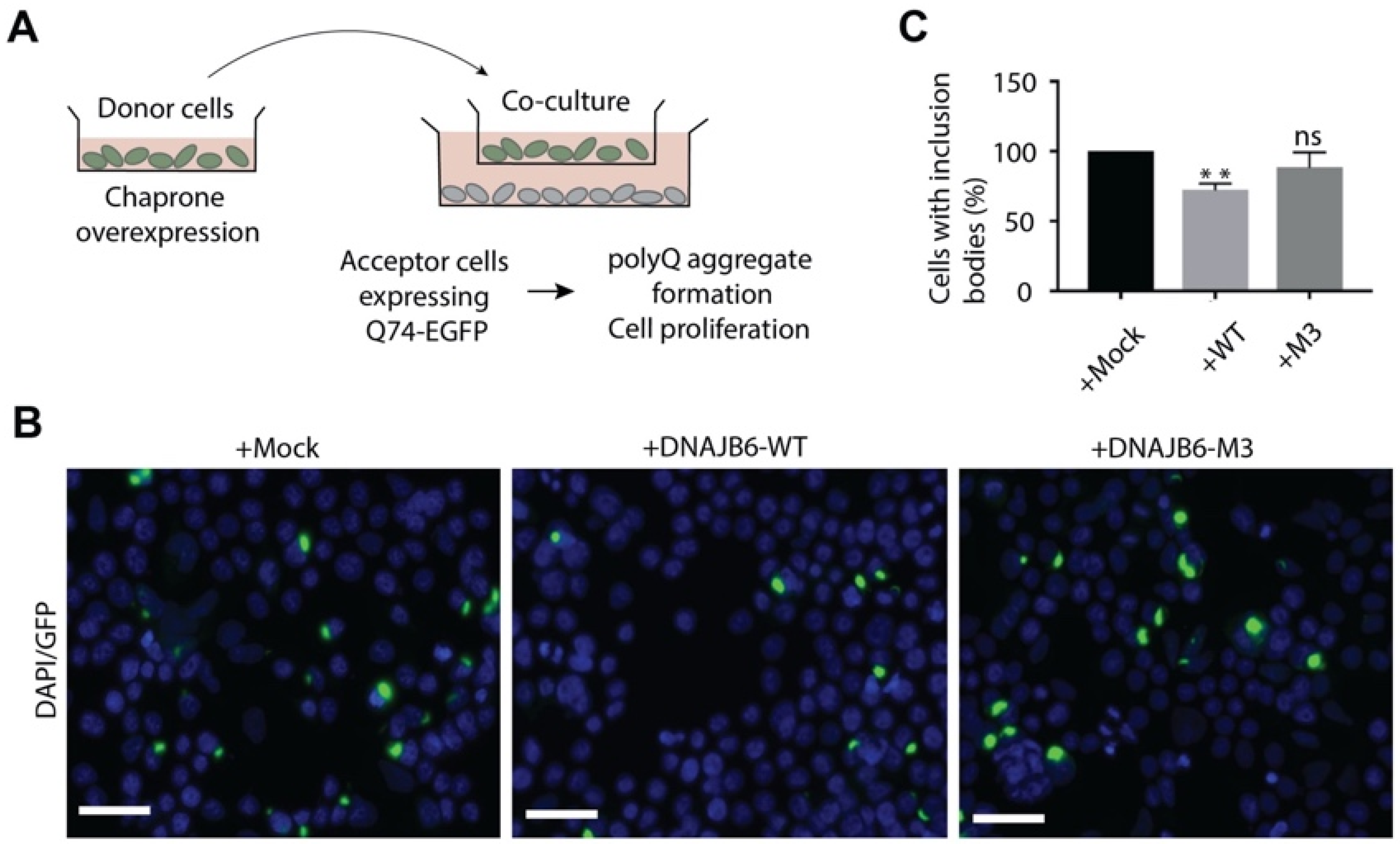 Pharmaceutics 14 02485 g001