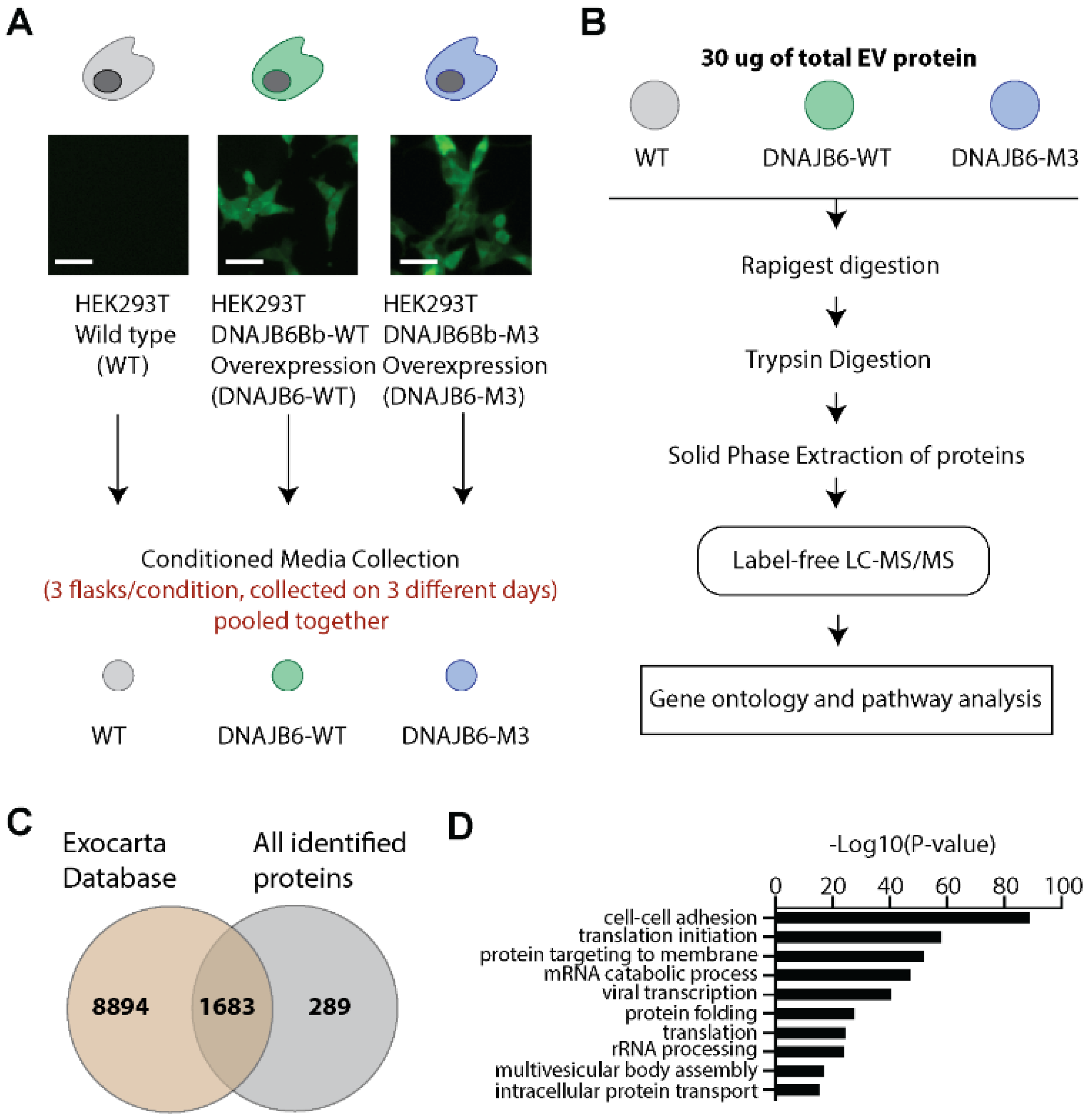 Pharmaceutics 14 02485 g003