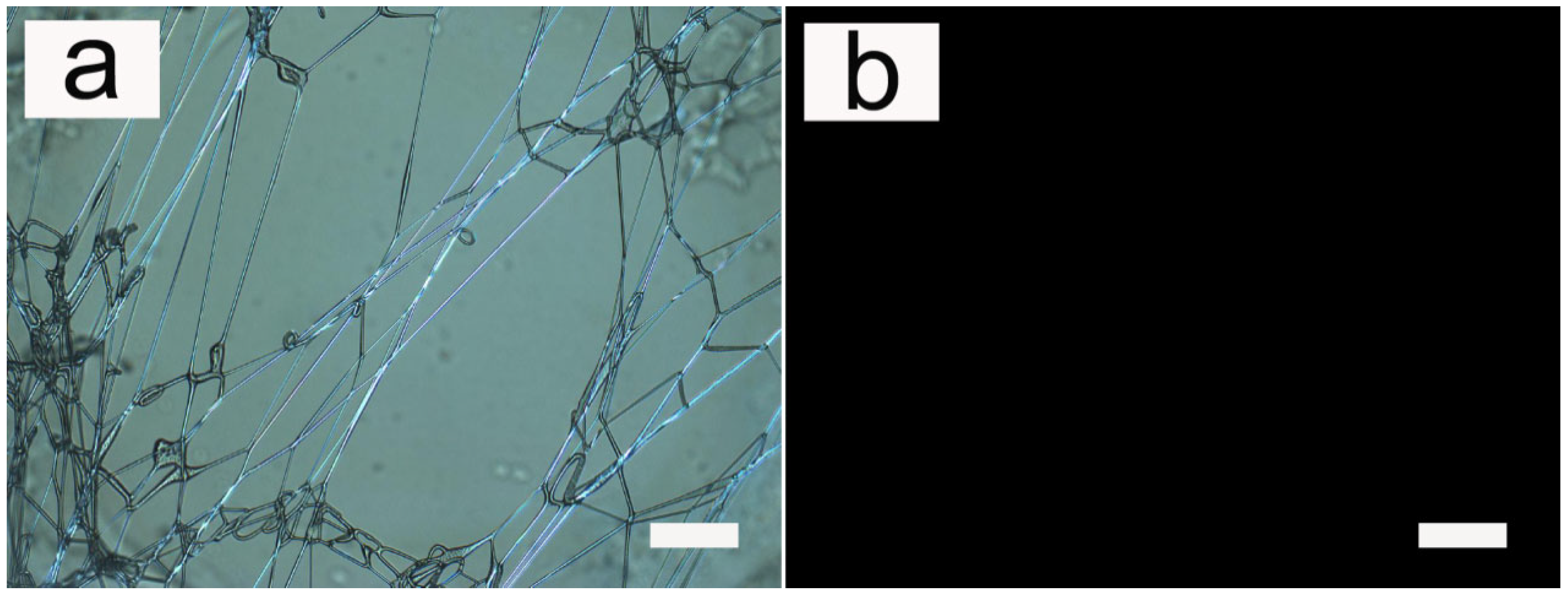 Pharmaceutics 14 02489 g001
