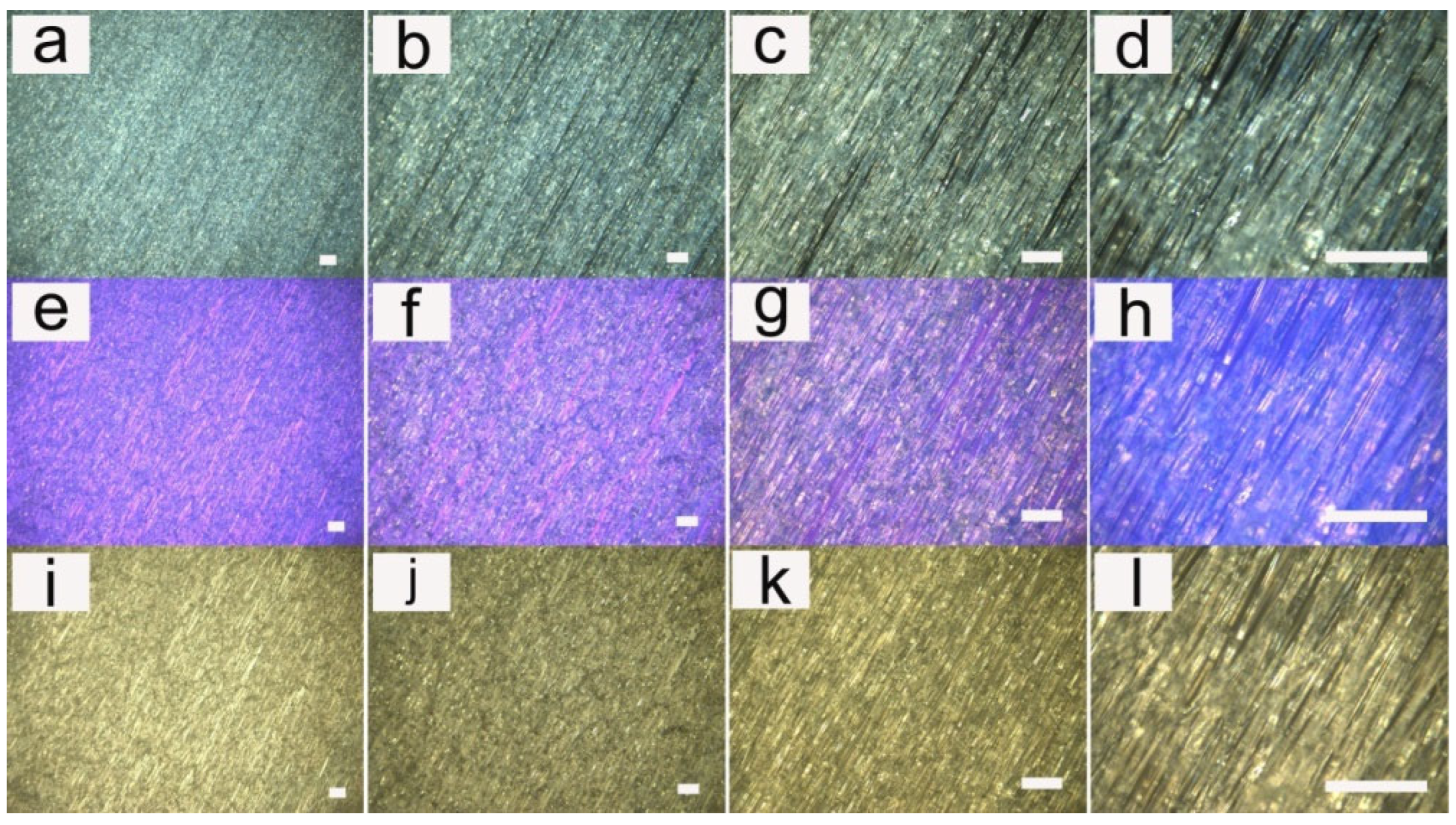 Pharmaceutics 14 02489 g002