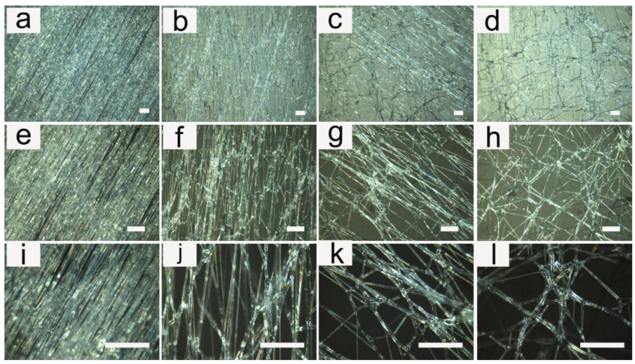 Pharmaceutics 14 02489 g003