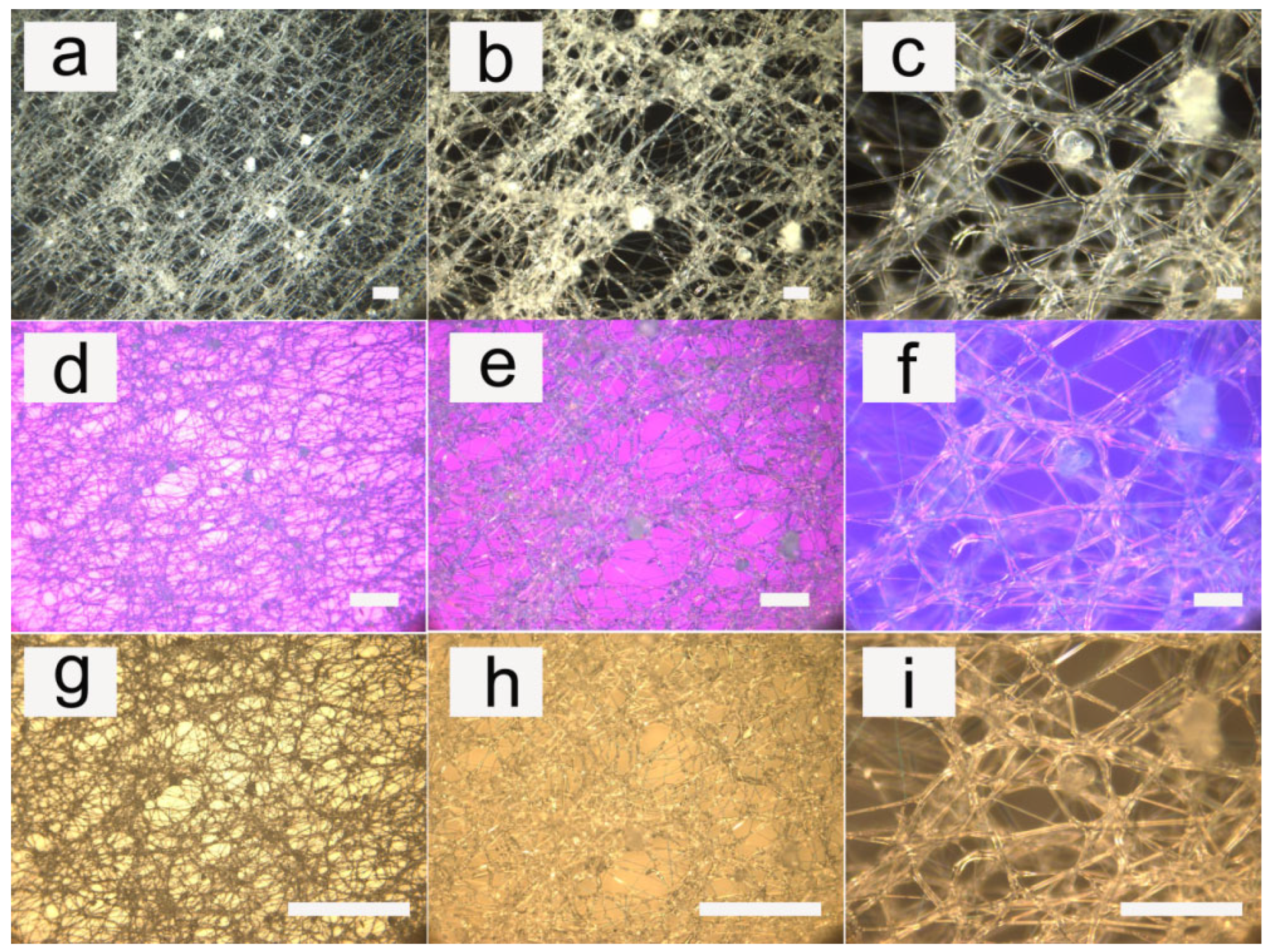 Pharmaceutics 14 02489 g006