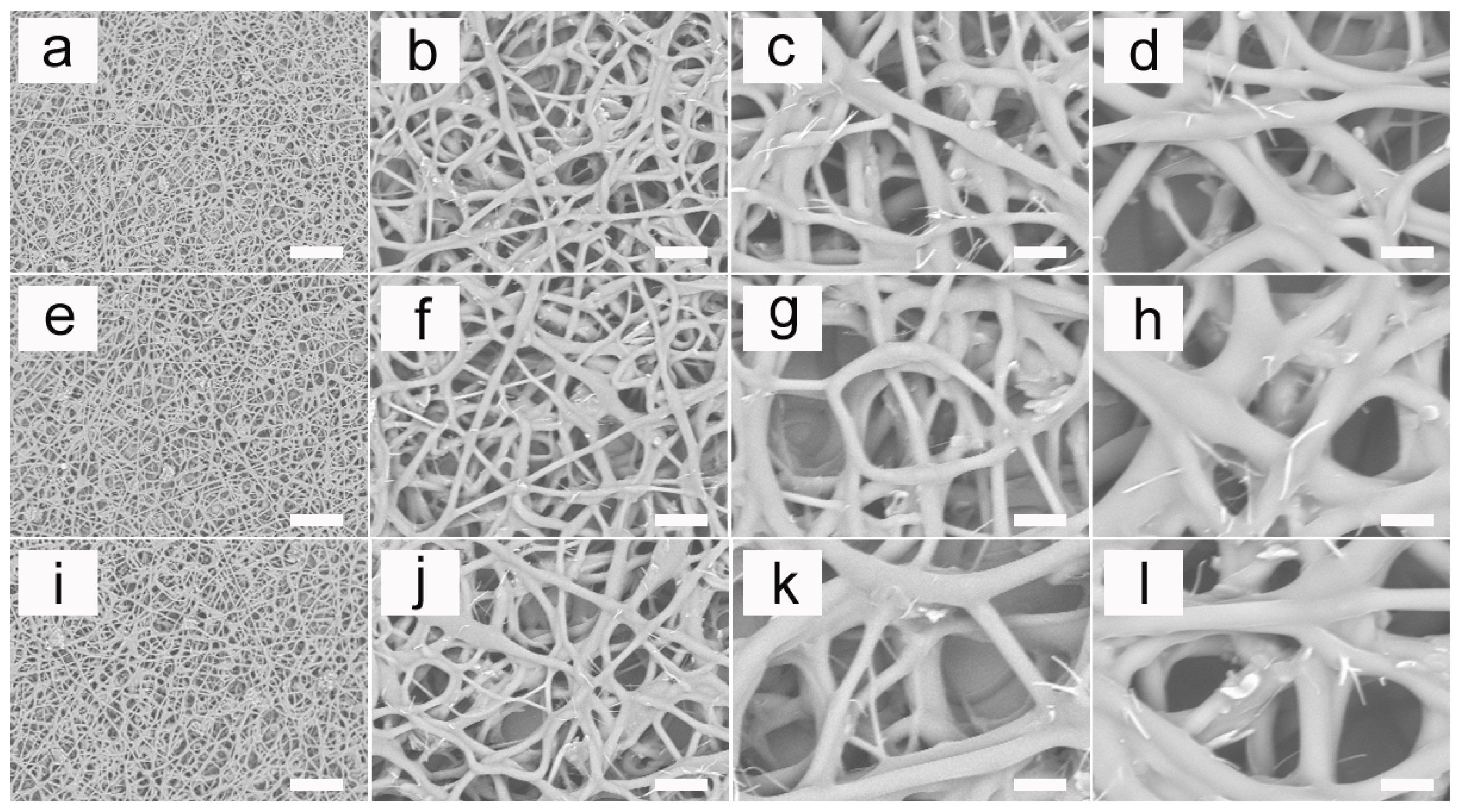 Pharmaceutics 14 02489 g007