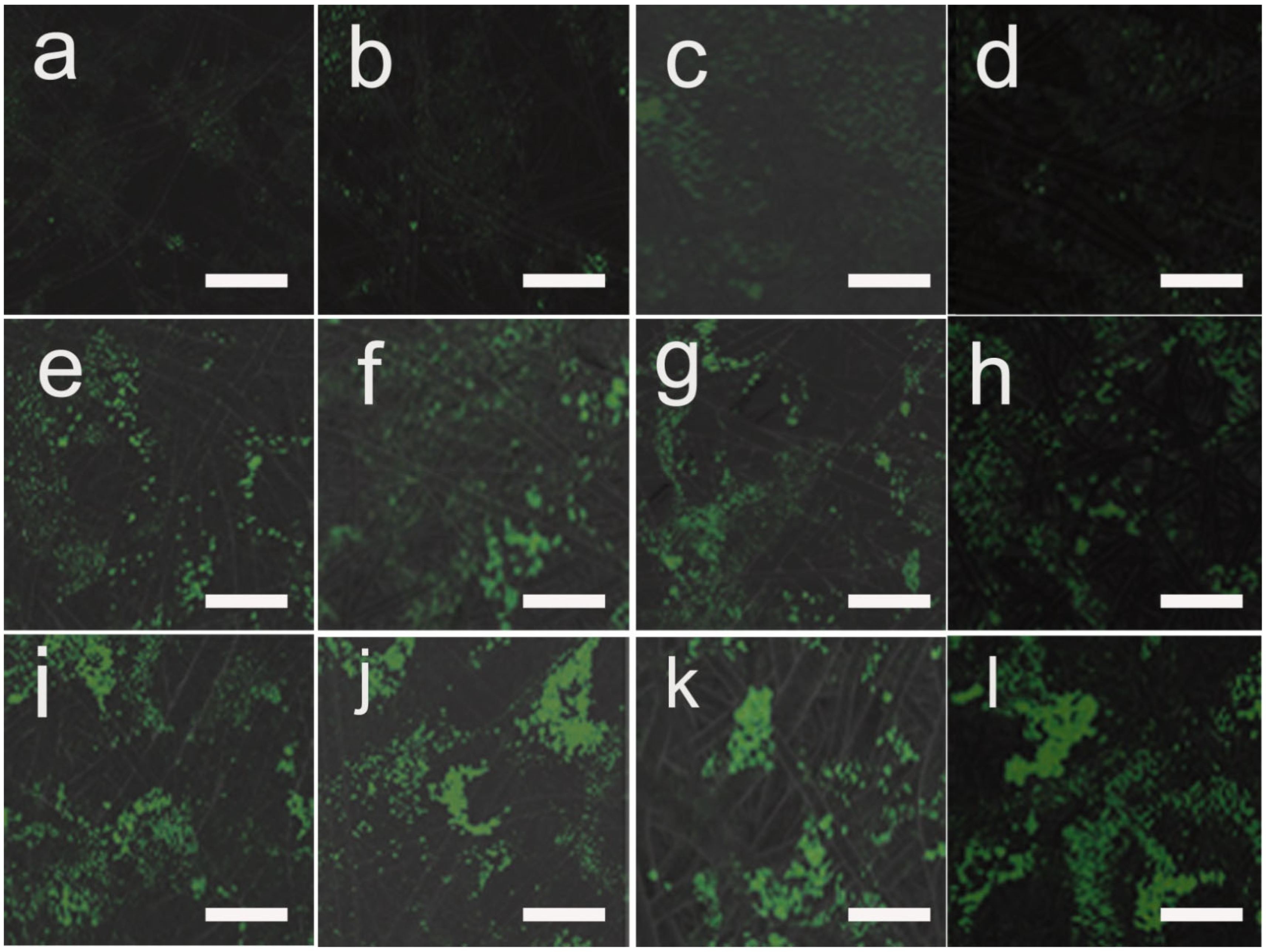 Pharmaceutics 14 02489 g010