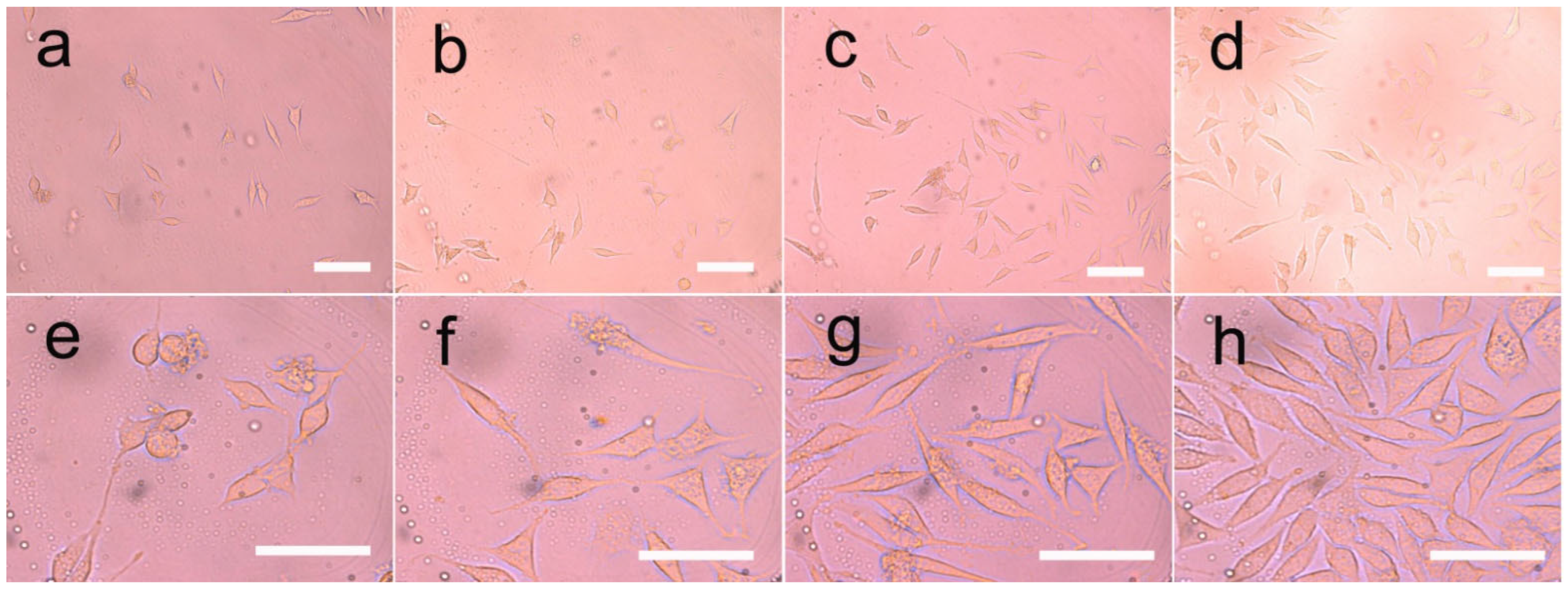 Pharmaceutics 14 02489 g012