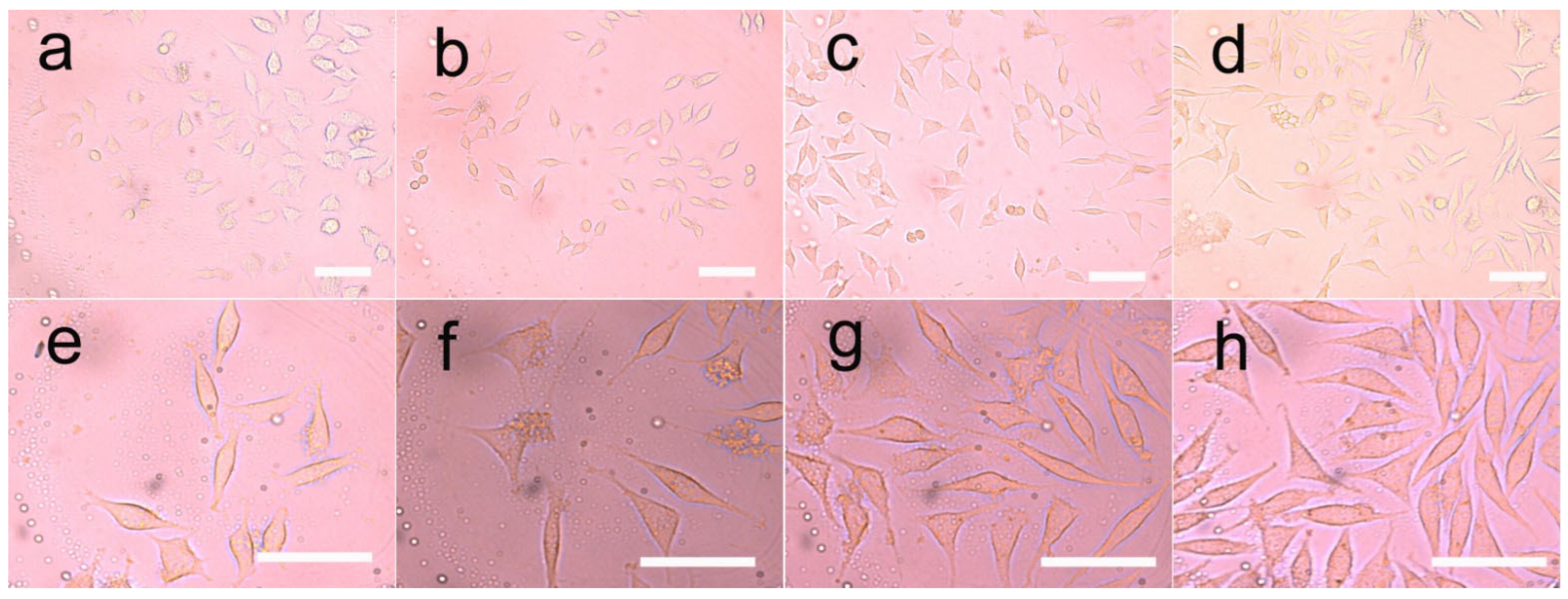 Pharmaceutics 14 02489 g013
