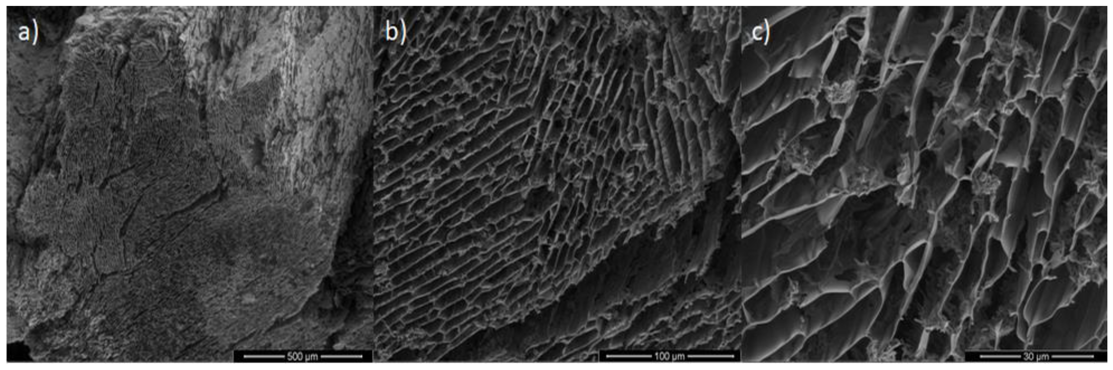 Pharmaceutics 14 02490 g005