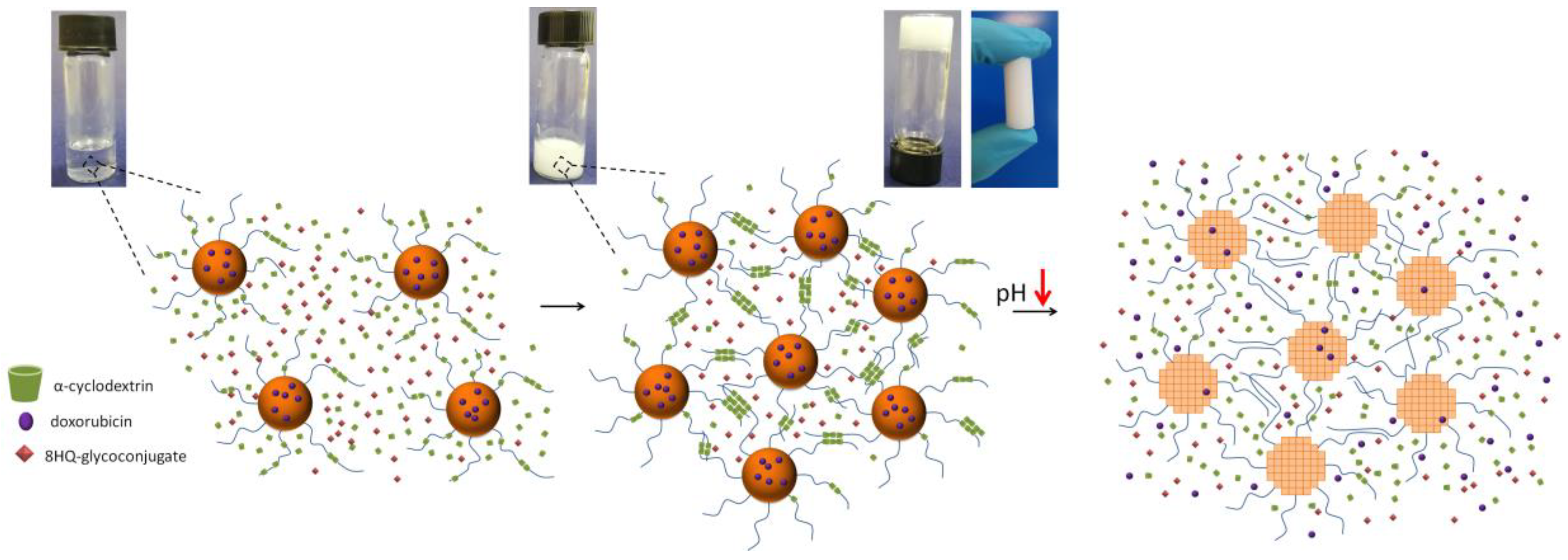 Pharmaceutics 14 02490 sch001
