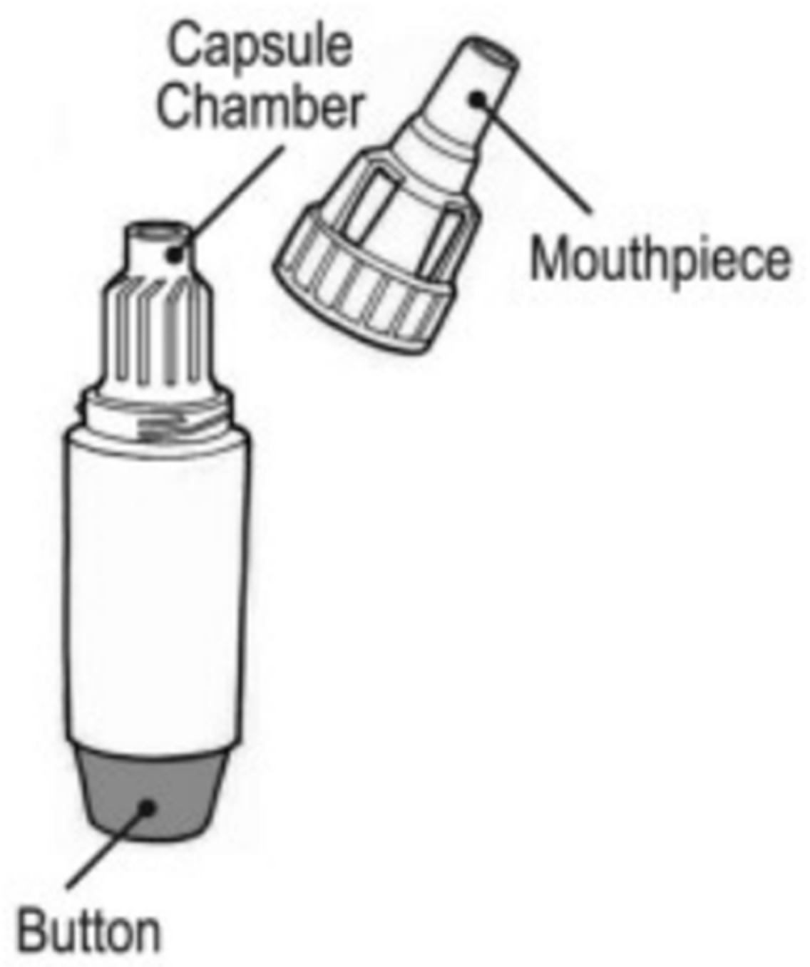 Pharmaceutics 14 02495 g002