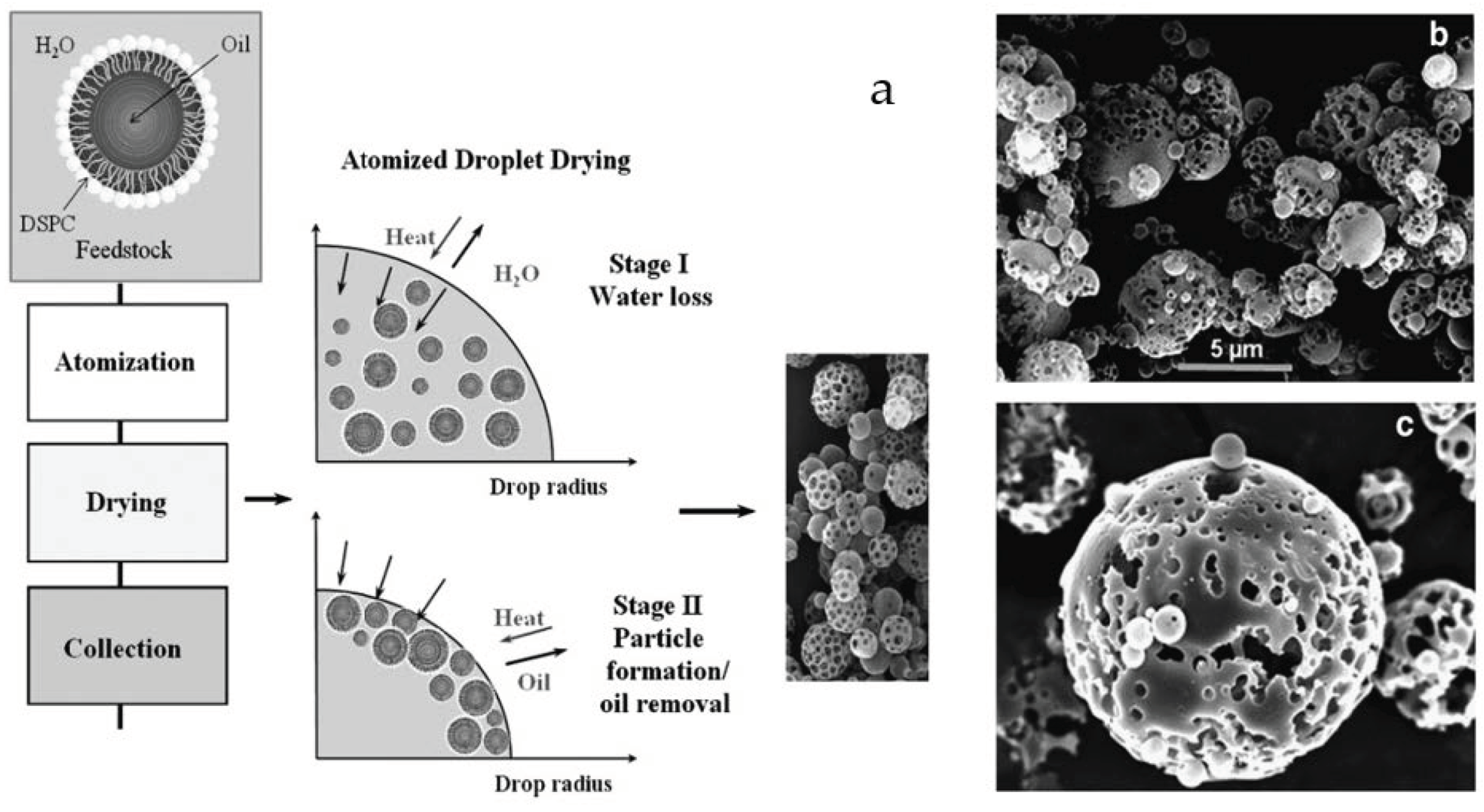 Pharmaceutics 14 02495 g005