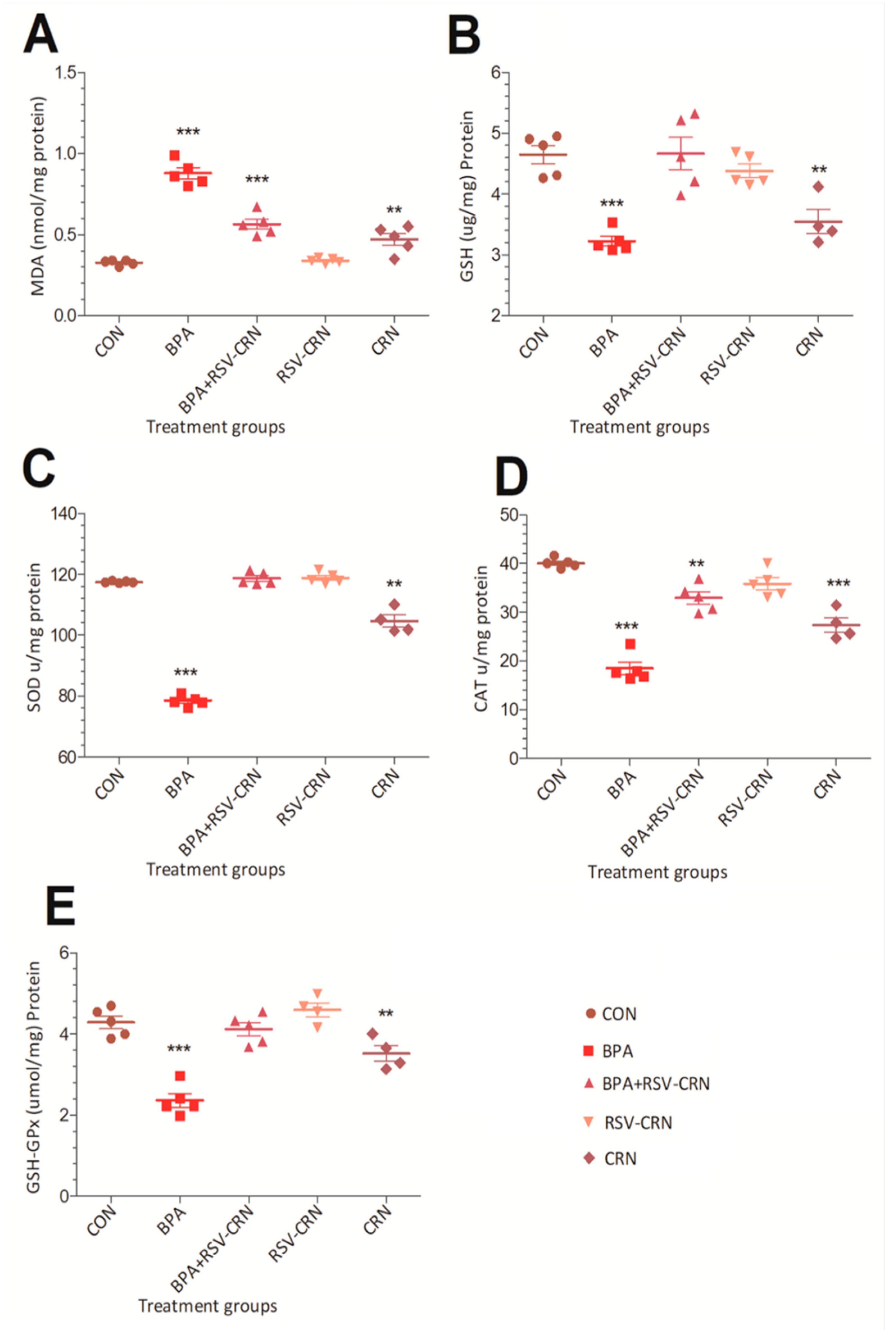 Pharmaceutics 14 02496 g003