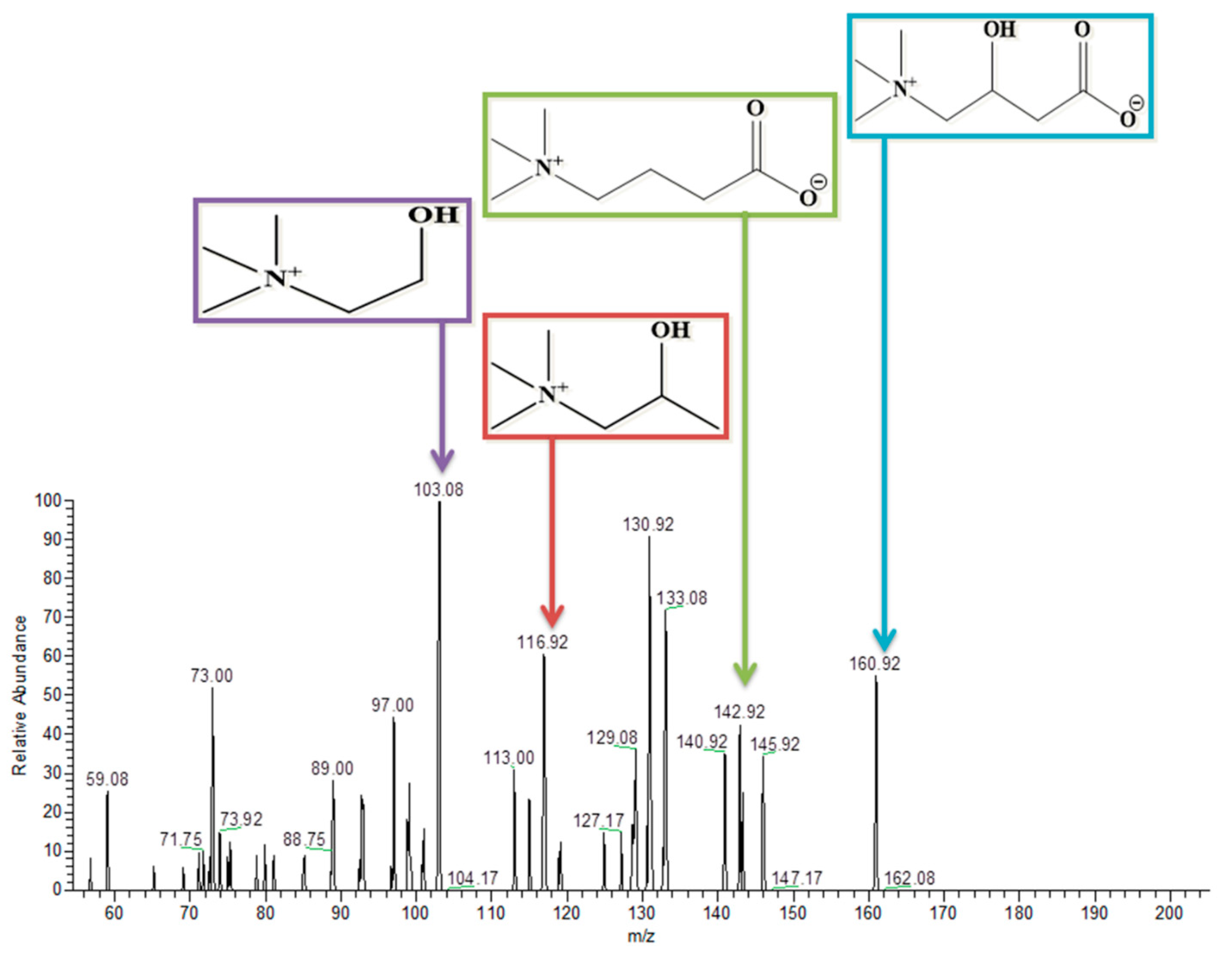 Pharmaceutics 14 02496 g008