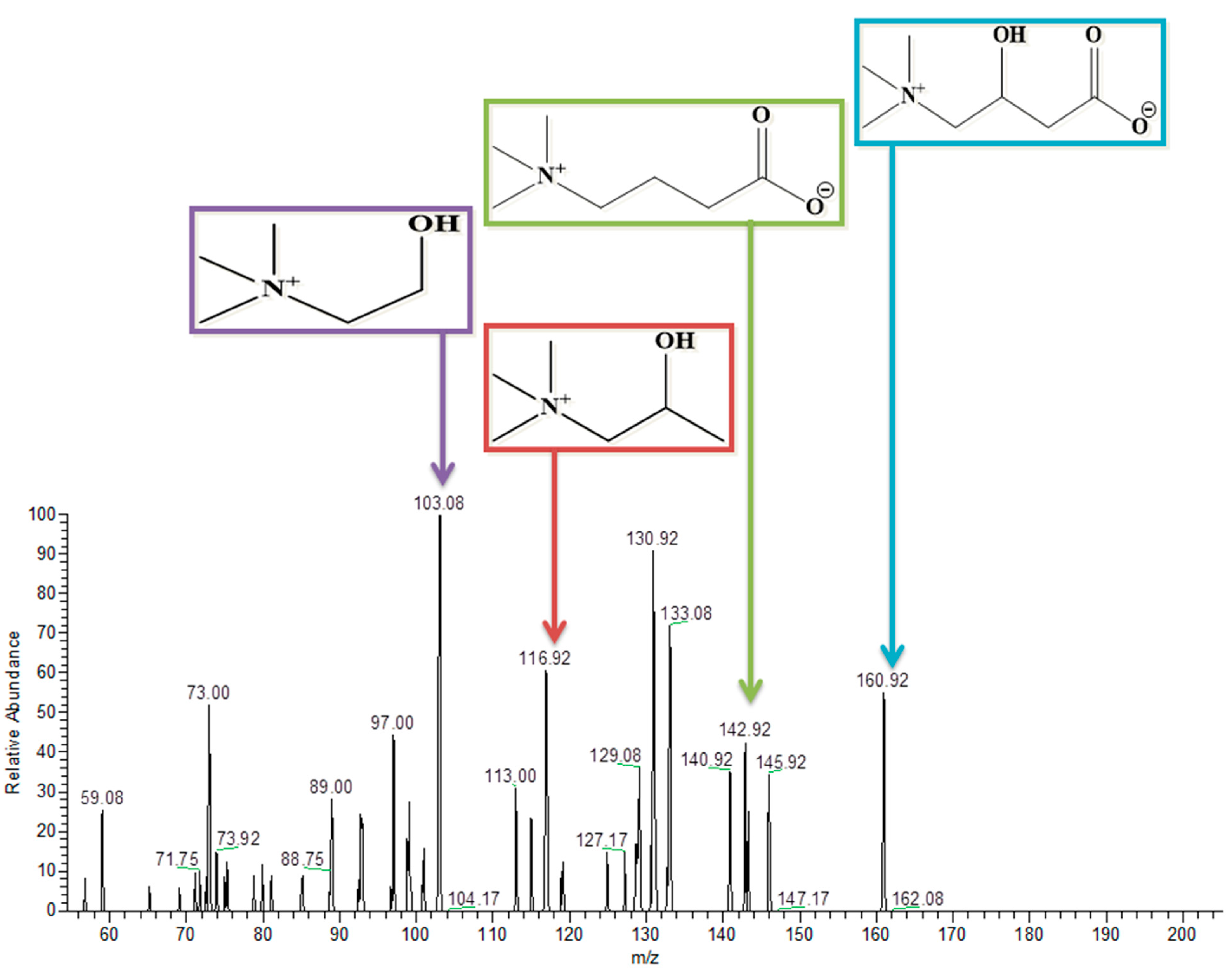 Pharmaceutics 14 02496 g010