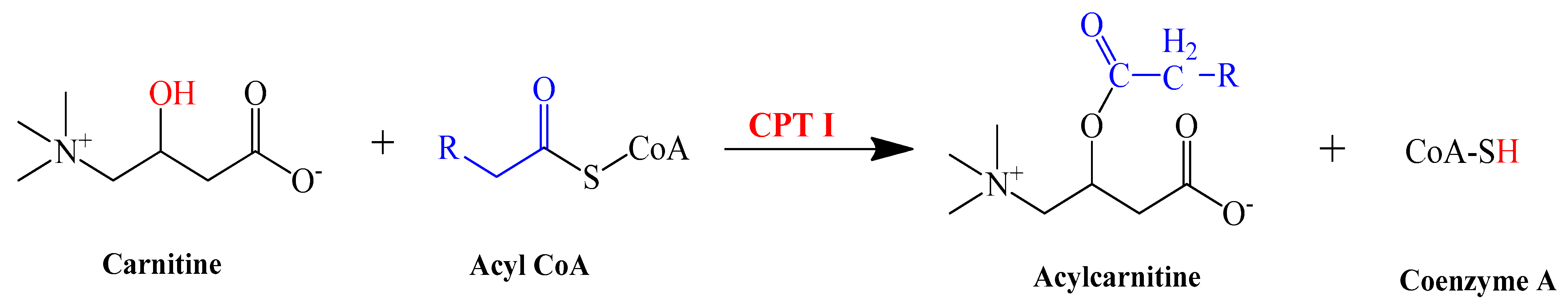 Pharmaceutics 14 02496 sch001