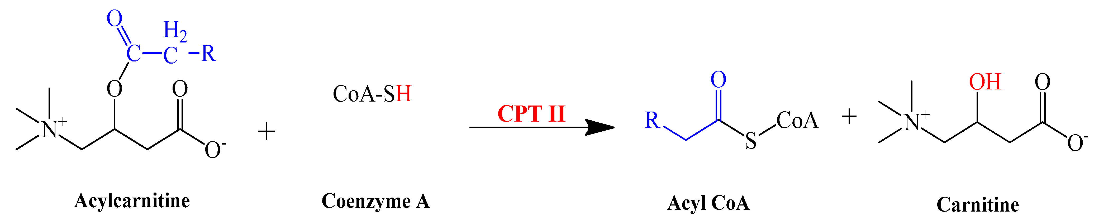 Pharmaceutics 14 02496 sch002