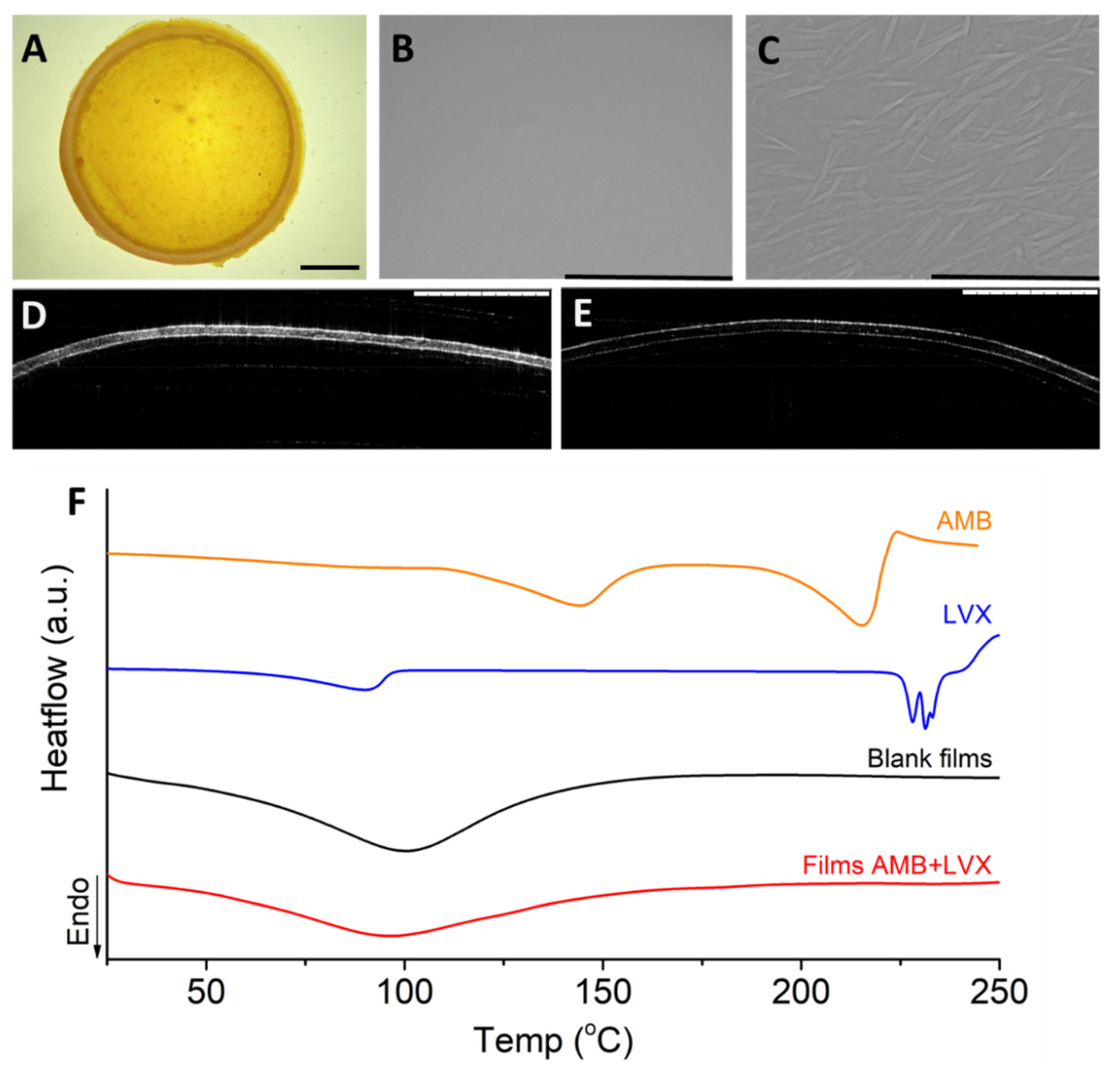Pharmaceutics 14 02497 g001