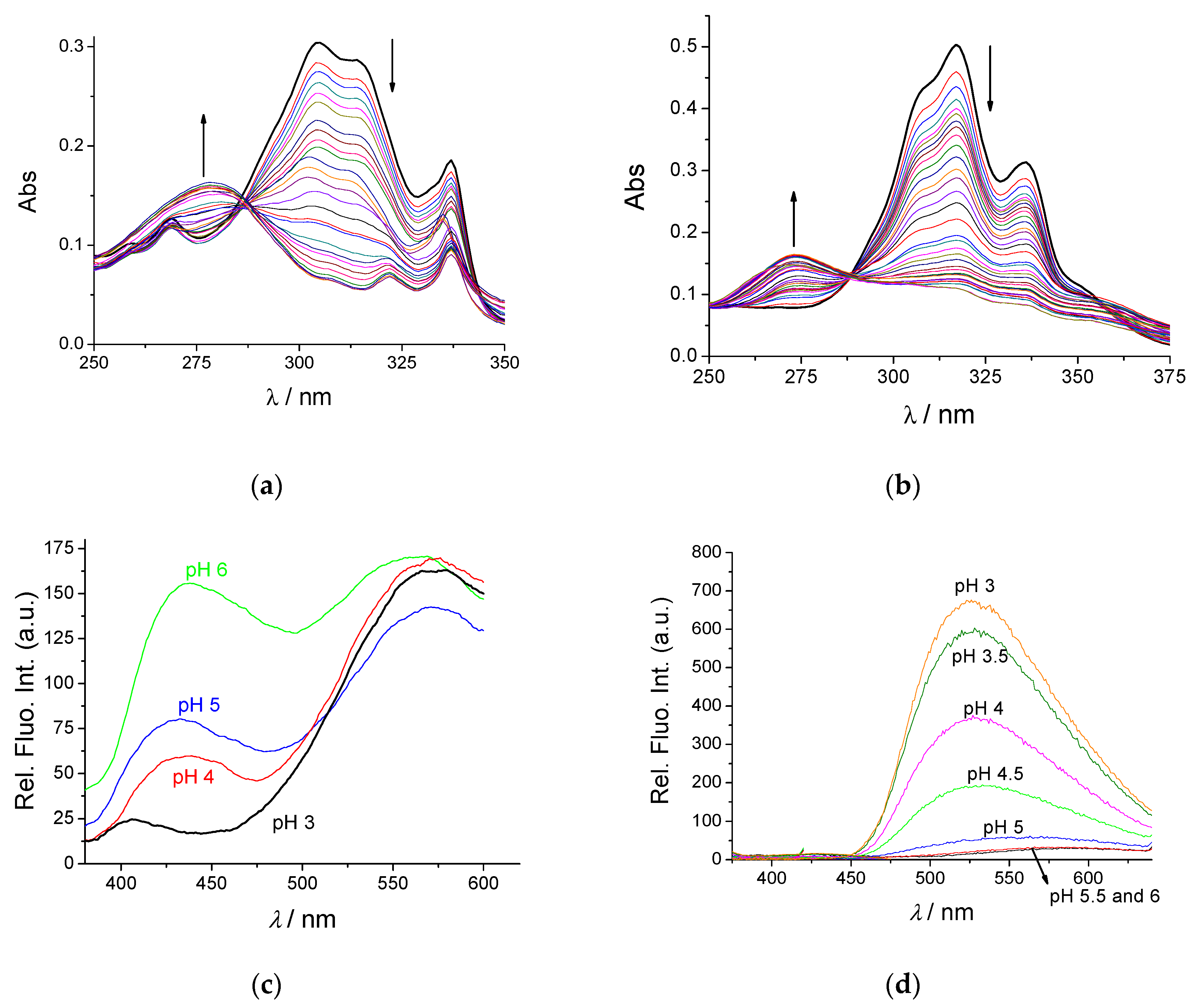 Pharmaceutics 14 02499 g001