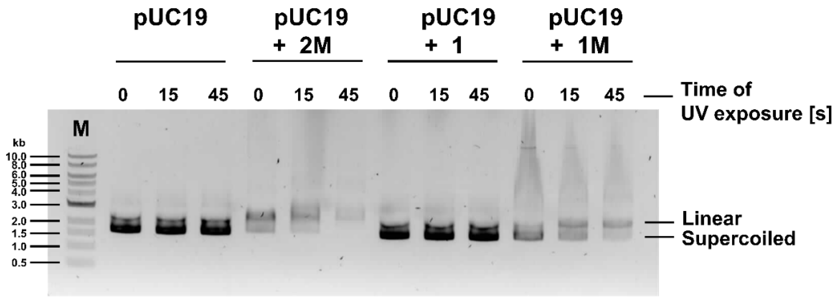 Pharmaceutics 14 02499 g006