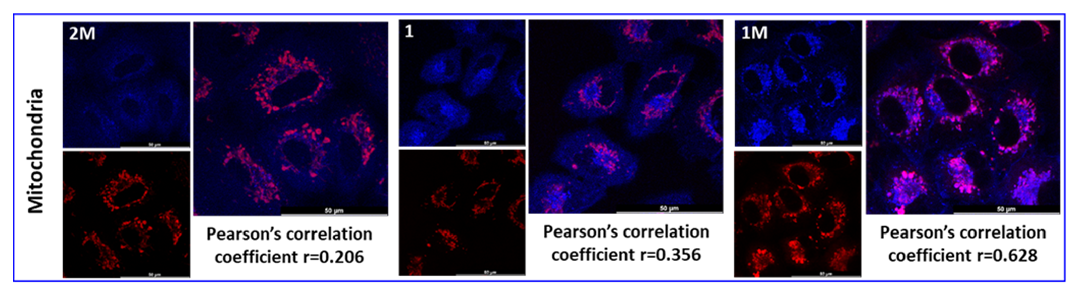 Pharmaceutics 14 02499 g012