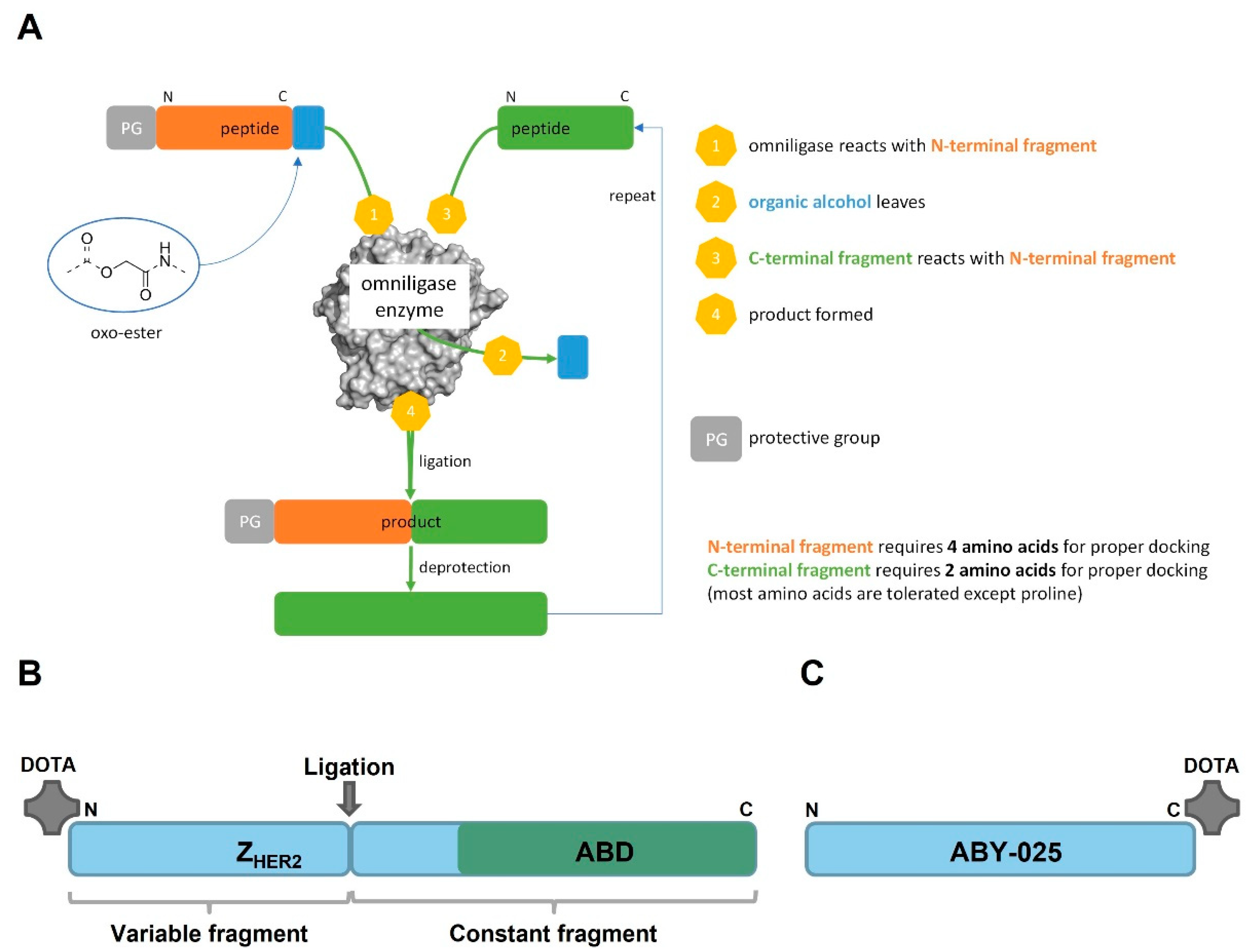 Pharmaceutics 14 02519 g001 Pharmaceutics 14 02519 g001