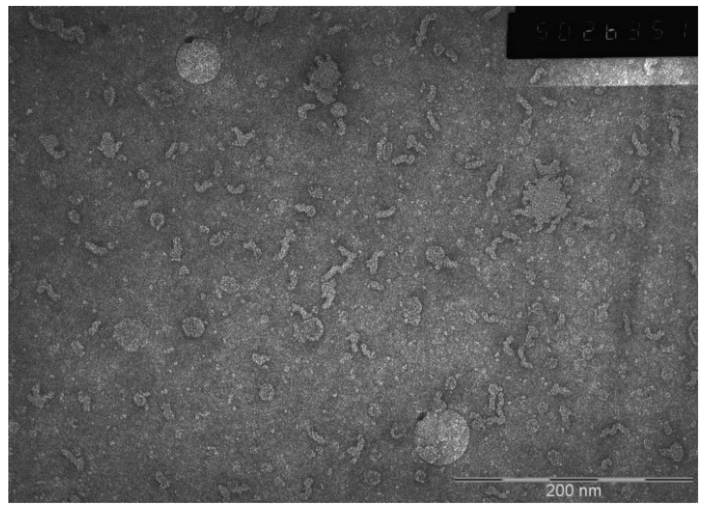 Pharmaceutics 14 02522 g006 Pharmaceutics 14 02522 g006