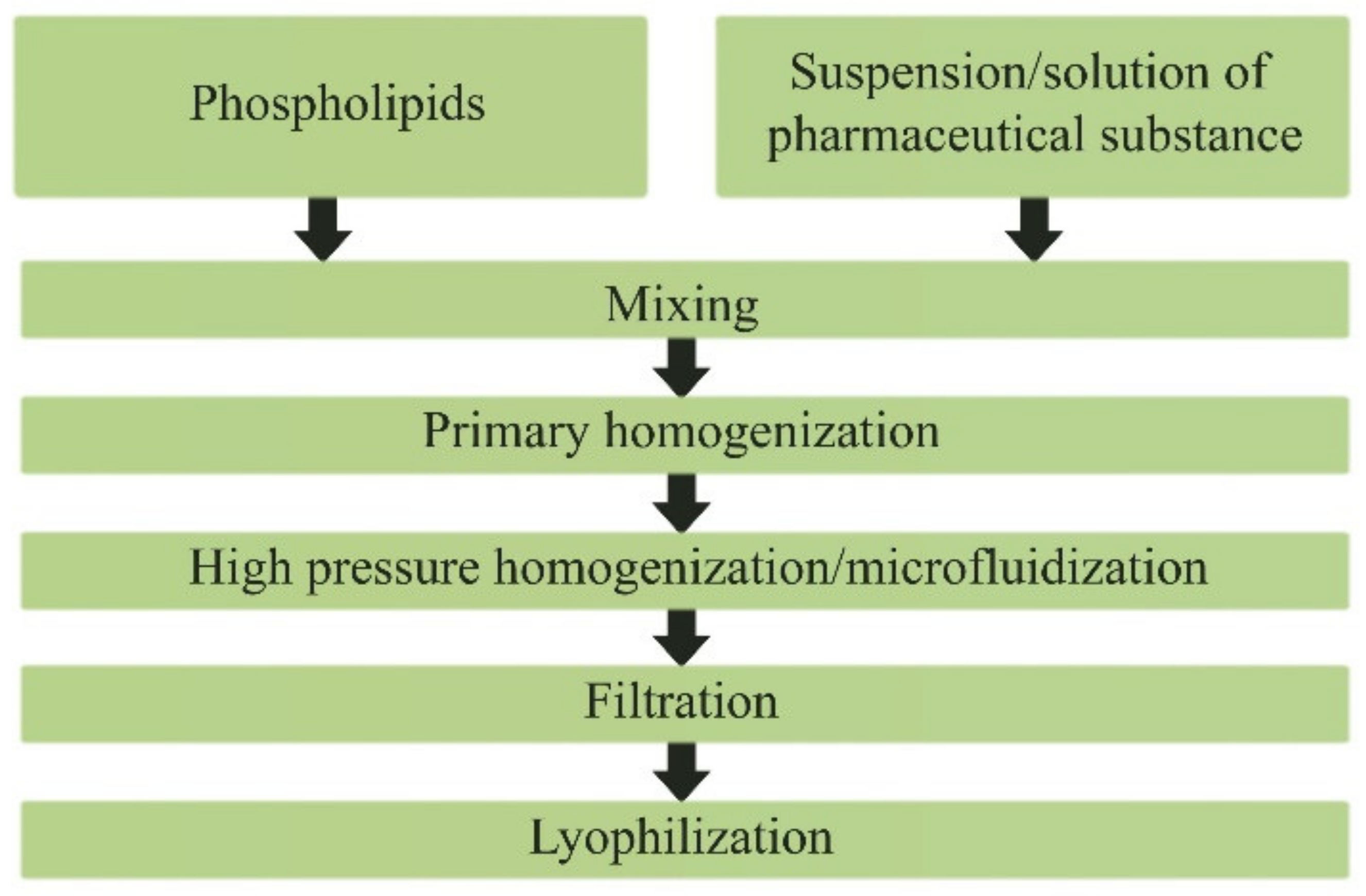 Pharmaceutics 14 02522 g008 Pharmaceutics 14 02522 g008