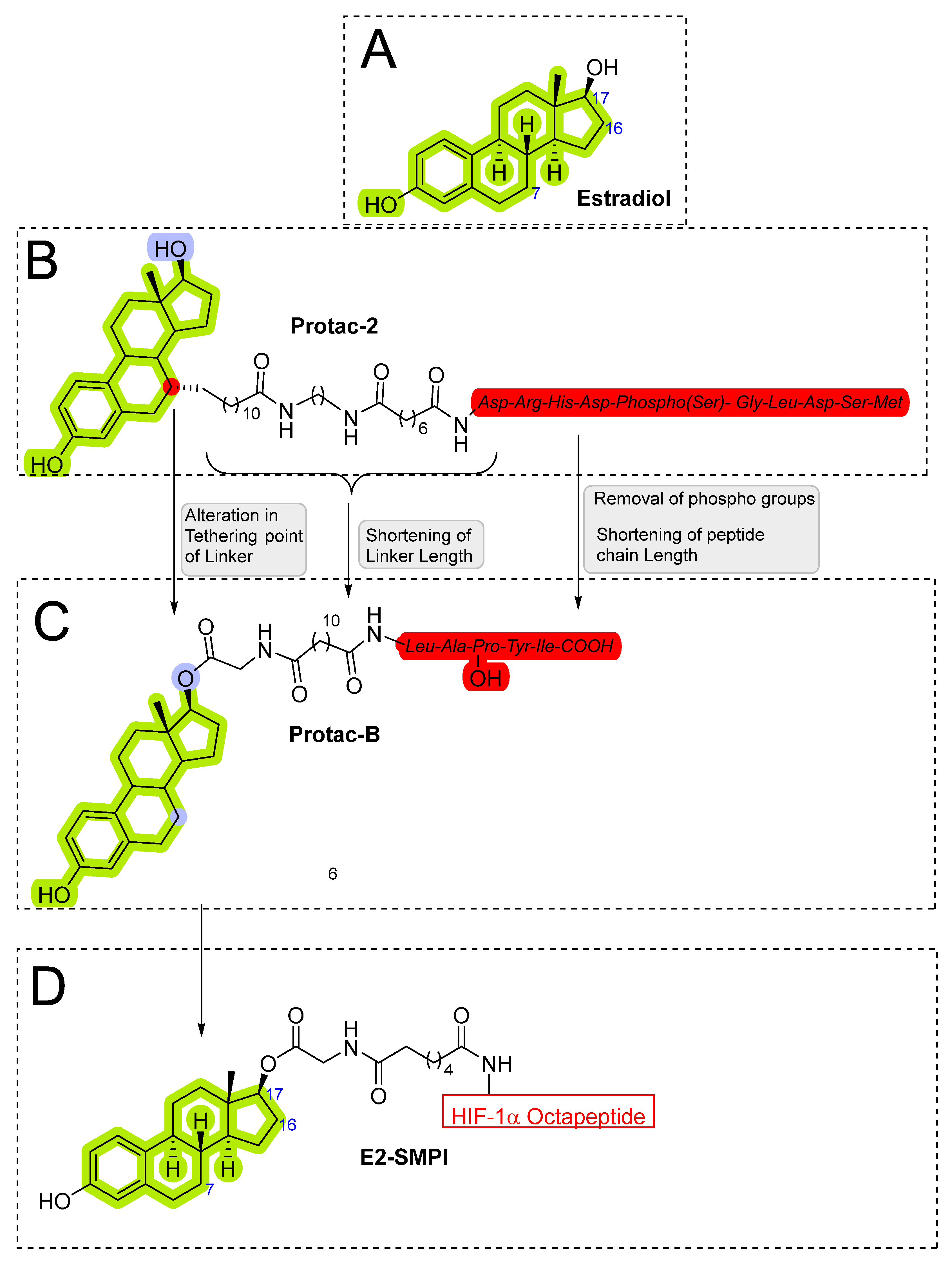 Pharmaceutics 14 02523 g006