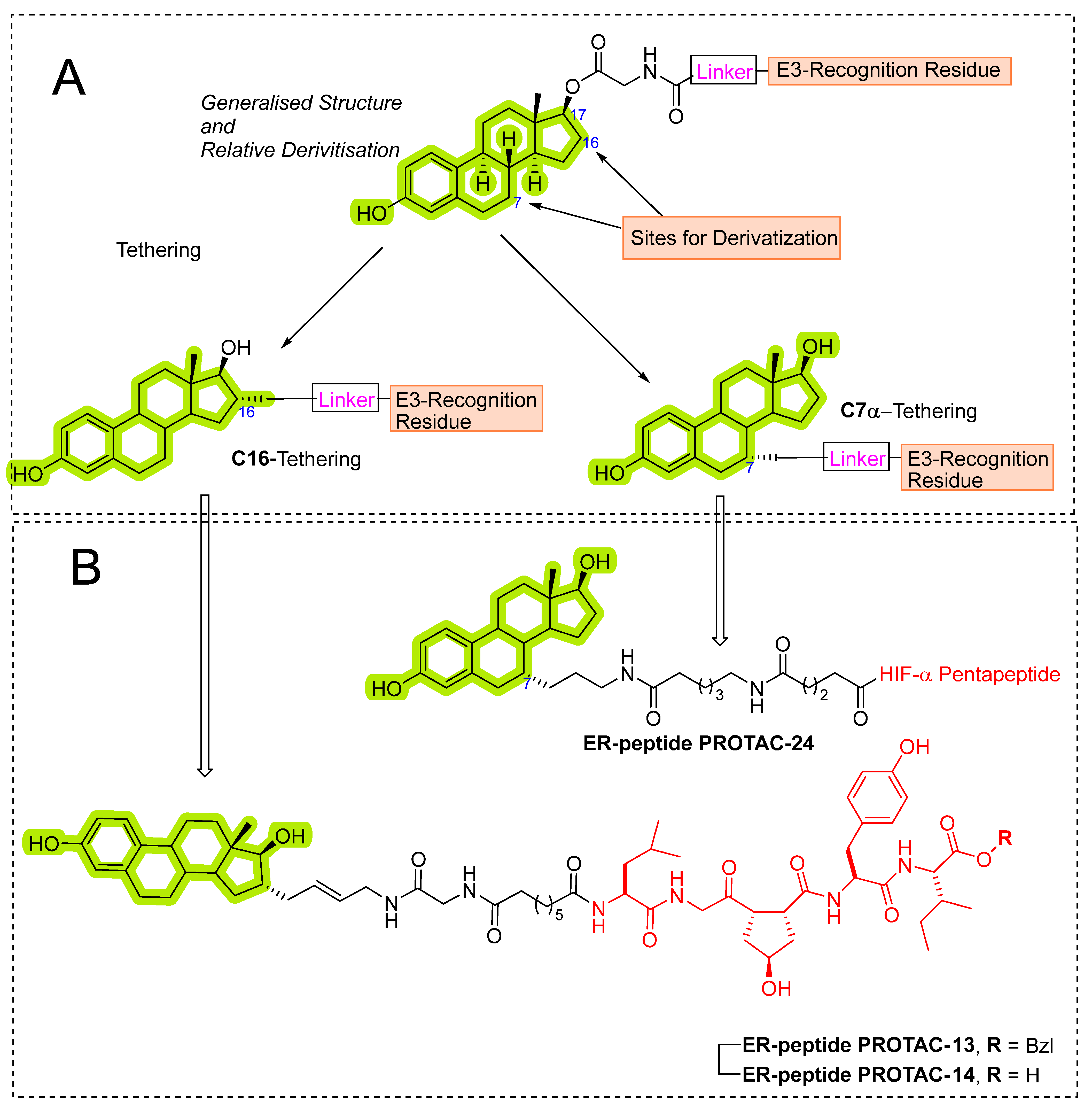 Pharmaceutics 14 02523 g007