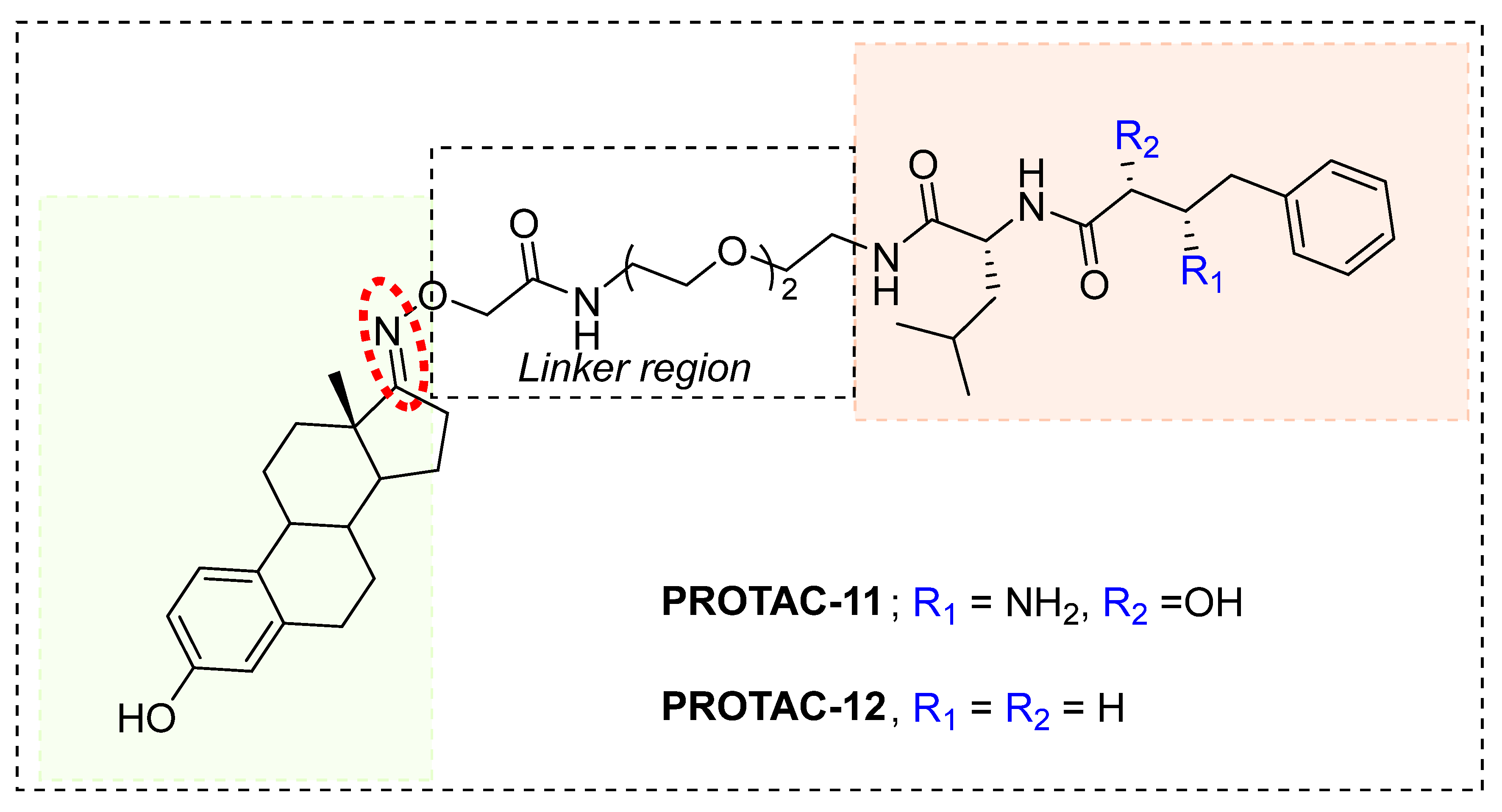 Pharmaceutics 14 02523 g013