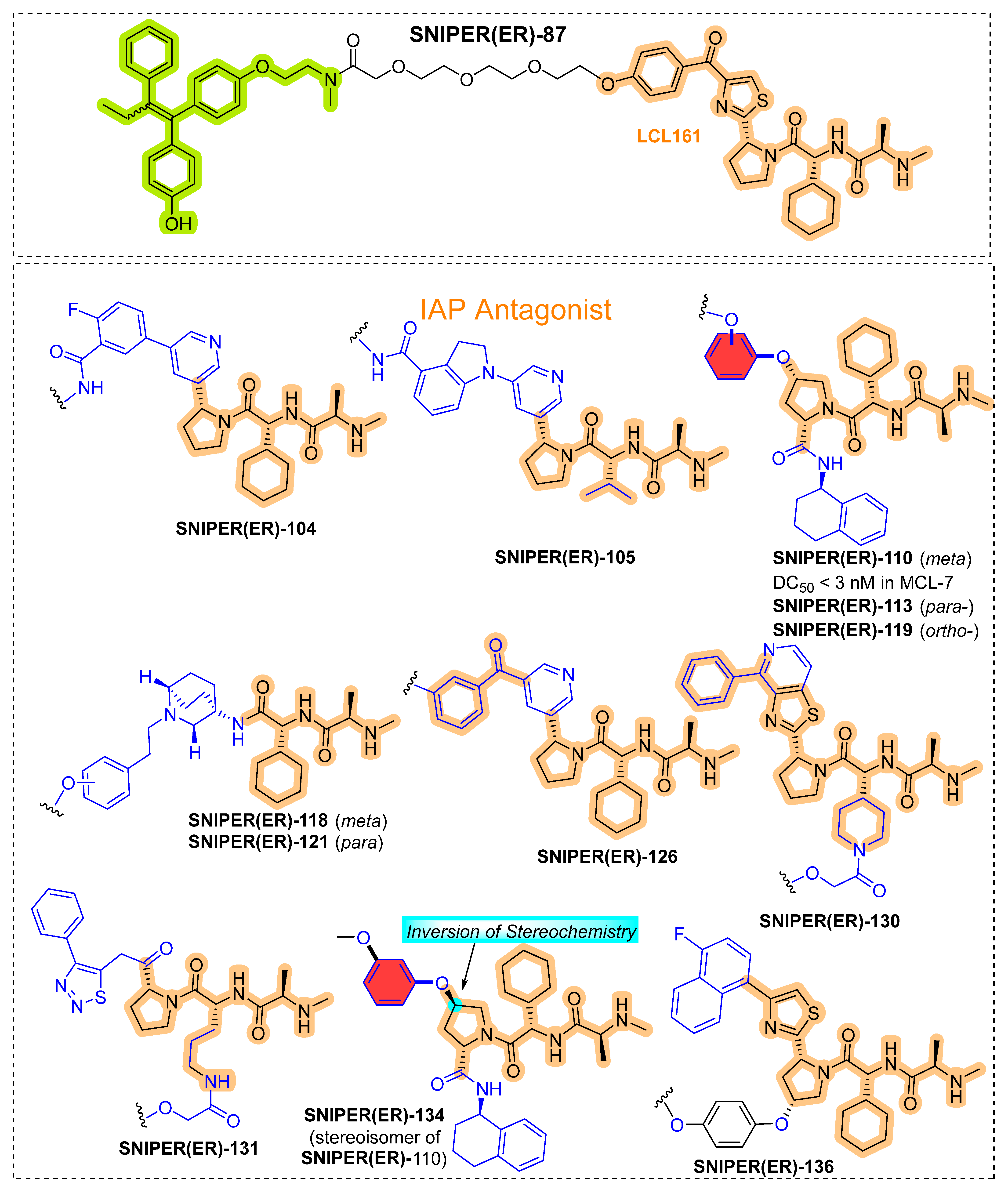 Pharmaceutics 14 02523 g015