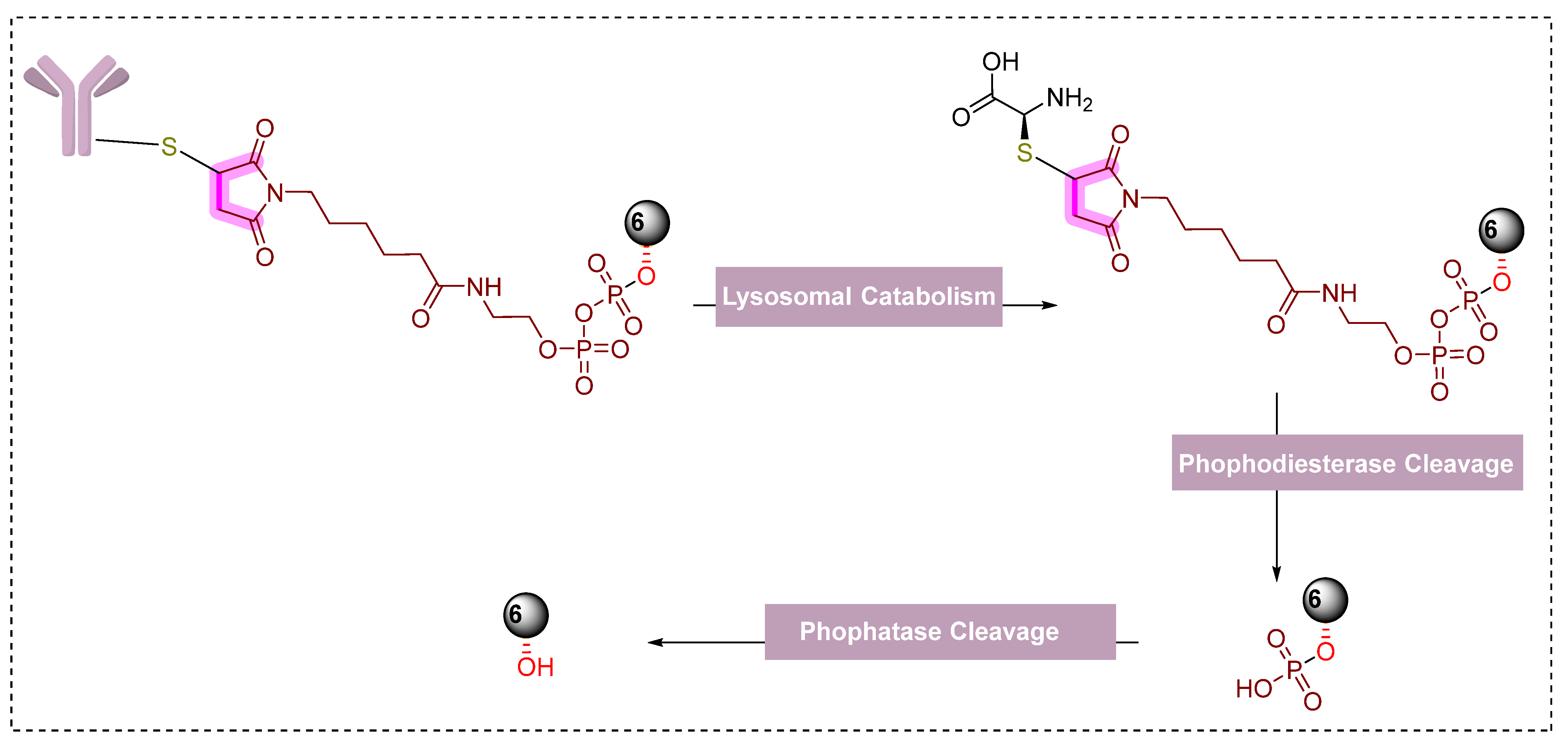 Pharmaceutics 14 02523 g020