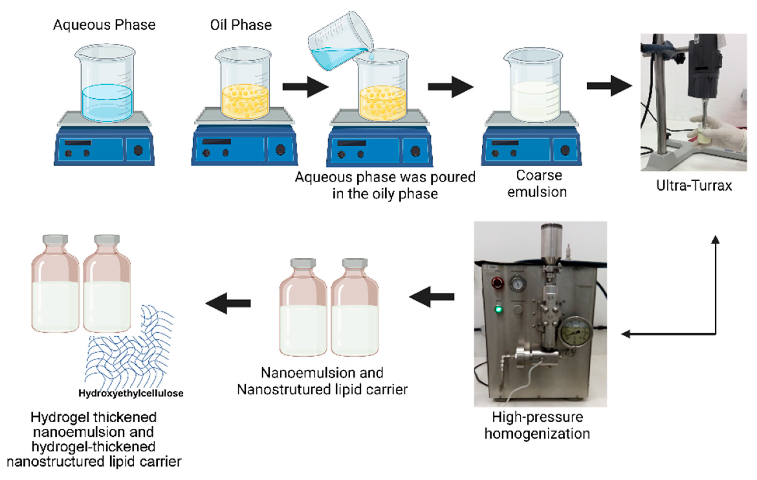Pharmaceutics 14 02525 g002 Pharmaceutics 14 02525 g002