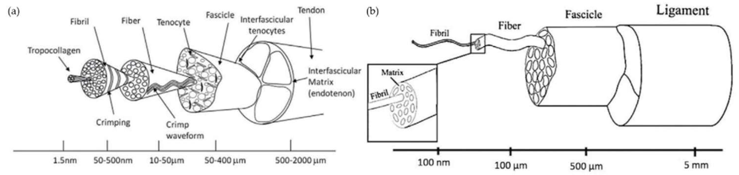 Pharmaceutics 14 02526 g001 Pharmaceutics 14 02526 g001