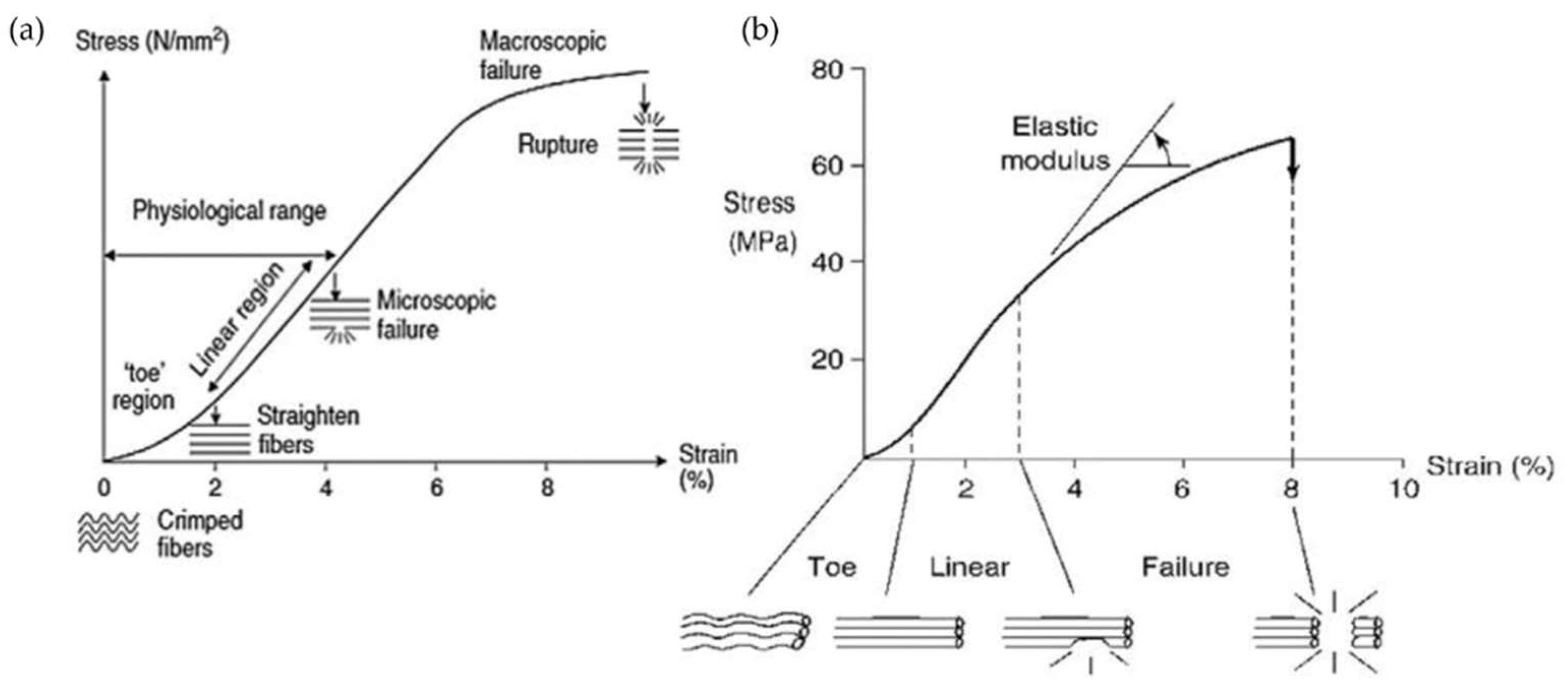 Pharmaceutics 14 02526 g002 Pharmaceutics 14 02526 g002