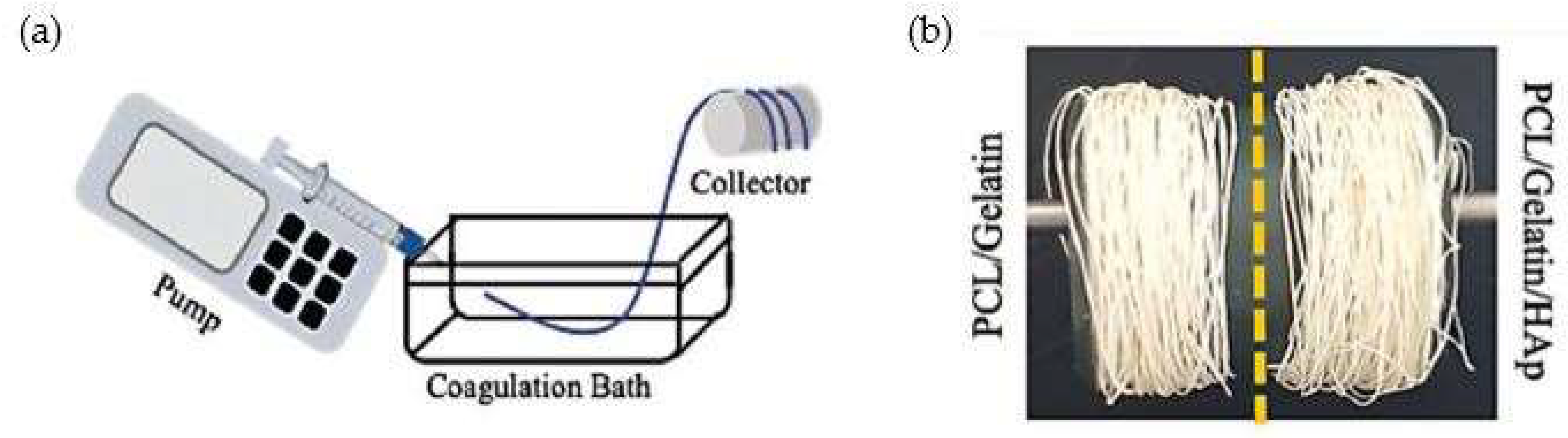 Pharmaceutics 14 02526 g006 Pharmaceutics 14 02526 g006
