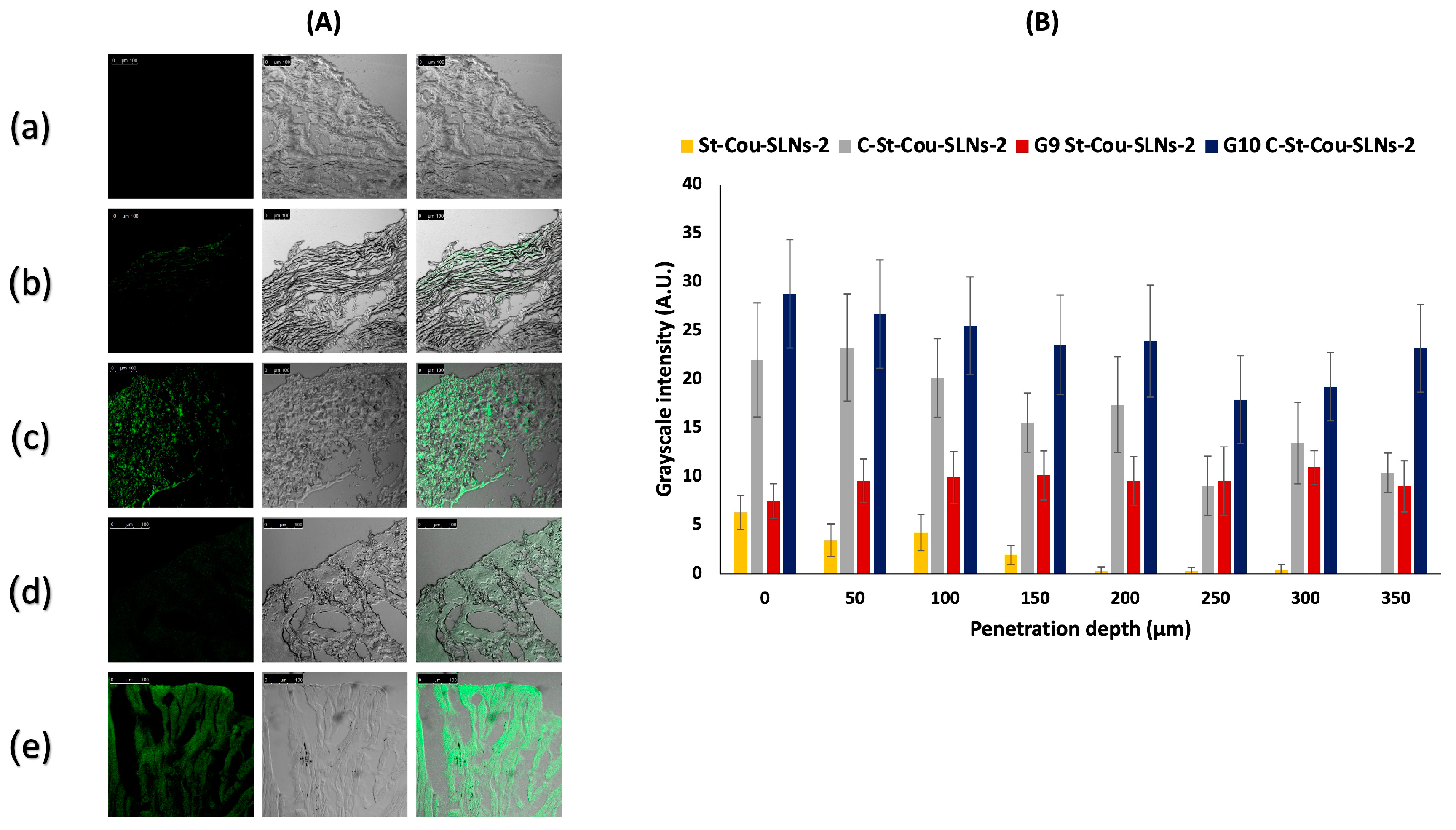 Pharmaceutics 14 02527 g006 Pharmaceutics 14 02527 g006